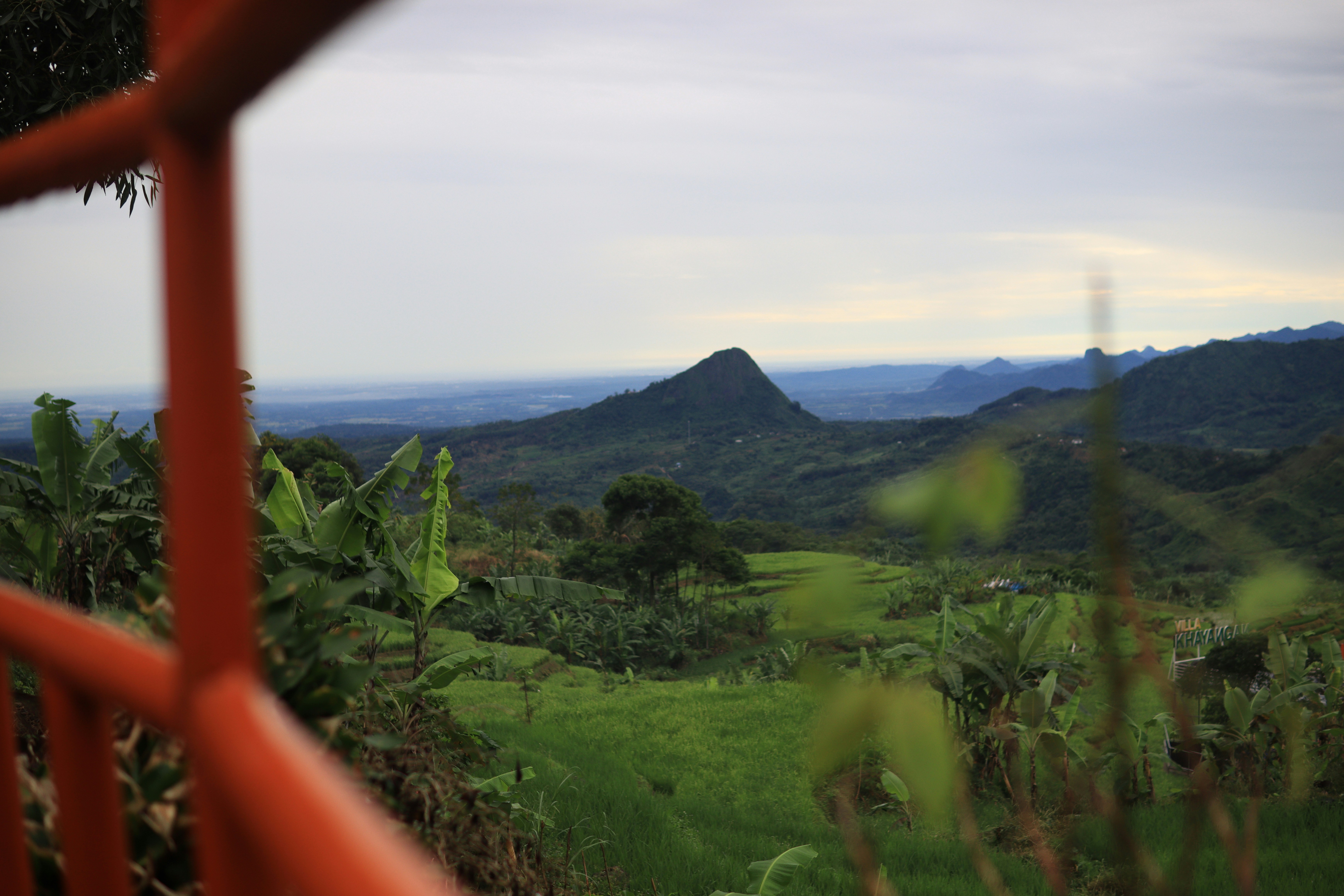 Green rolling hills with a distant pointed mountain.