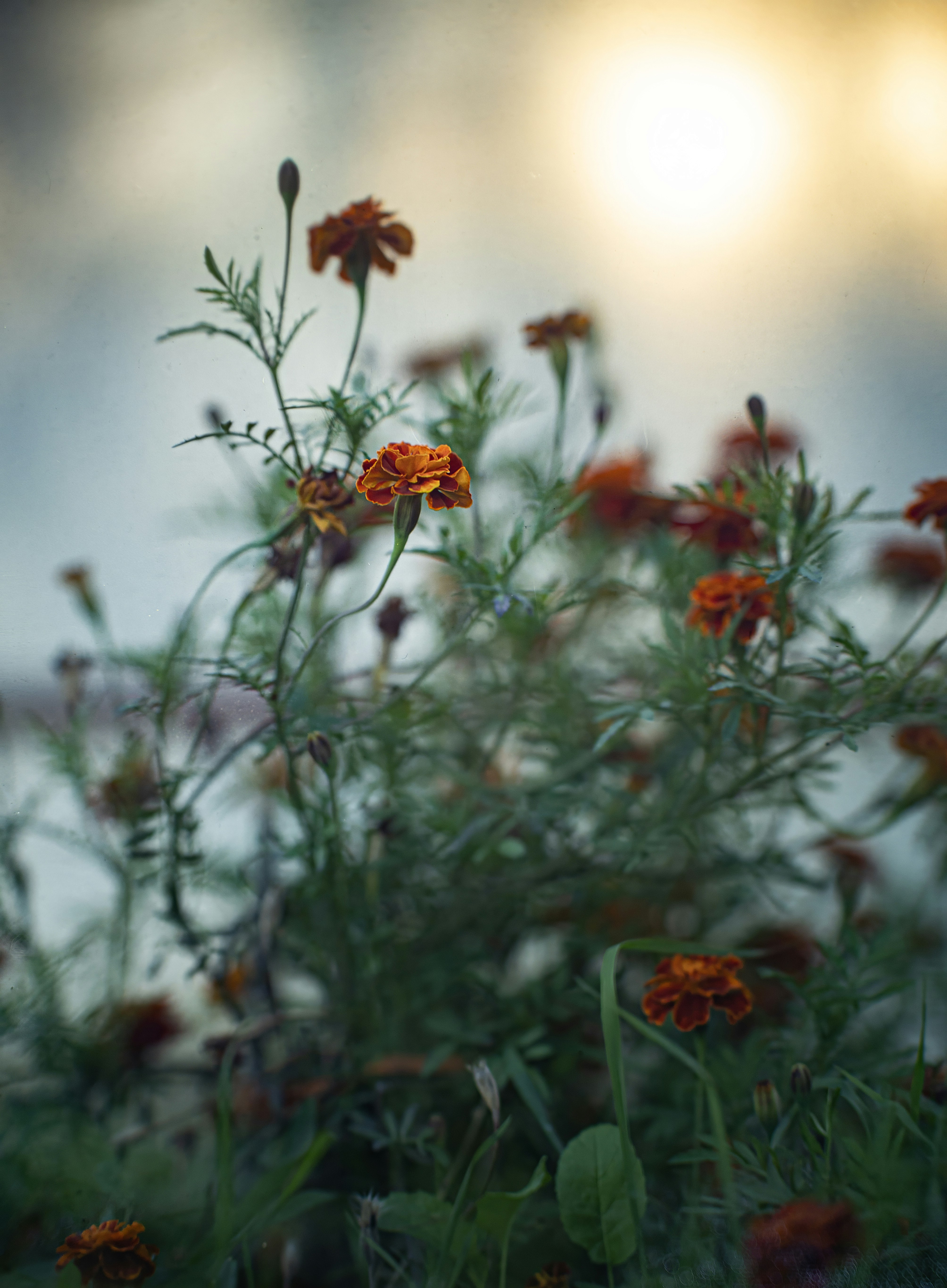 Photo by andrilliardbond