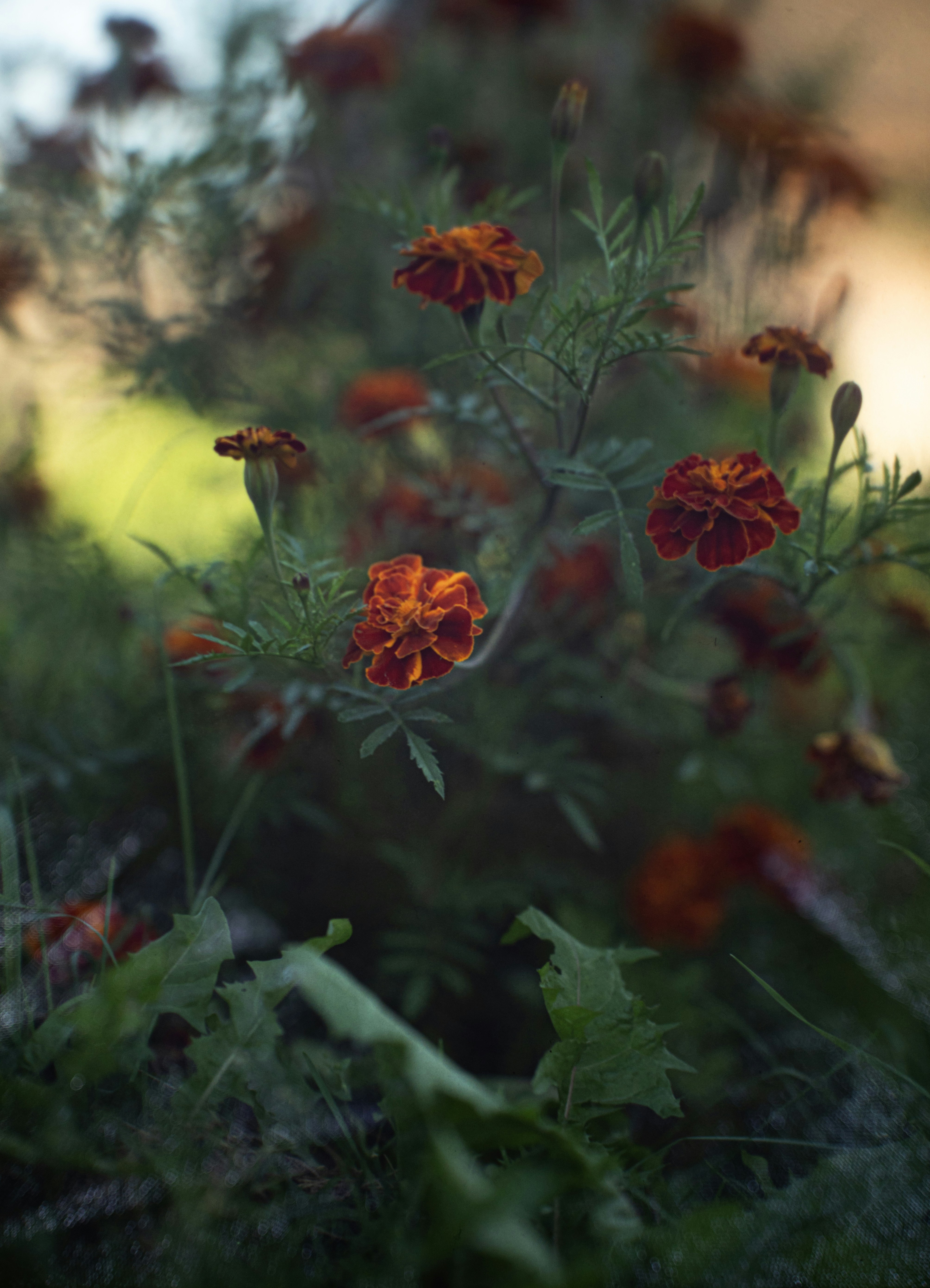 Photo by andrilliardbond