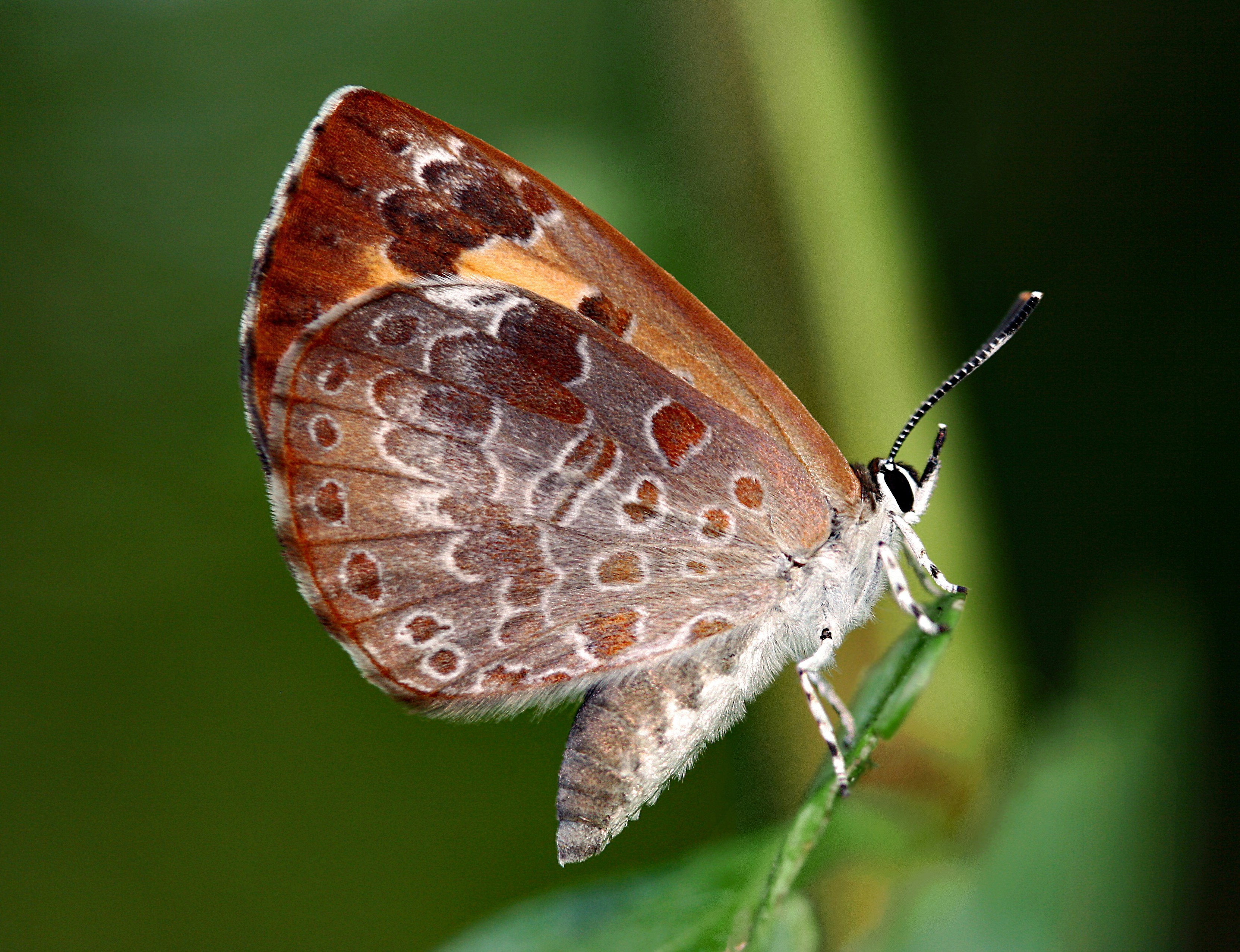 Photo by telliottmbamsc