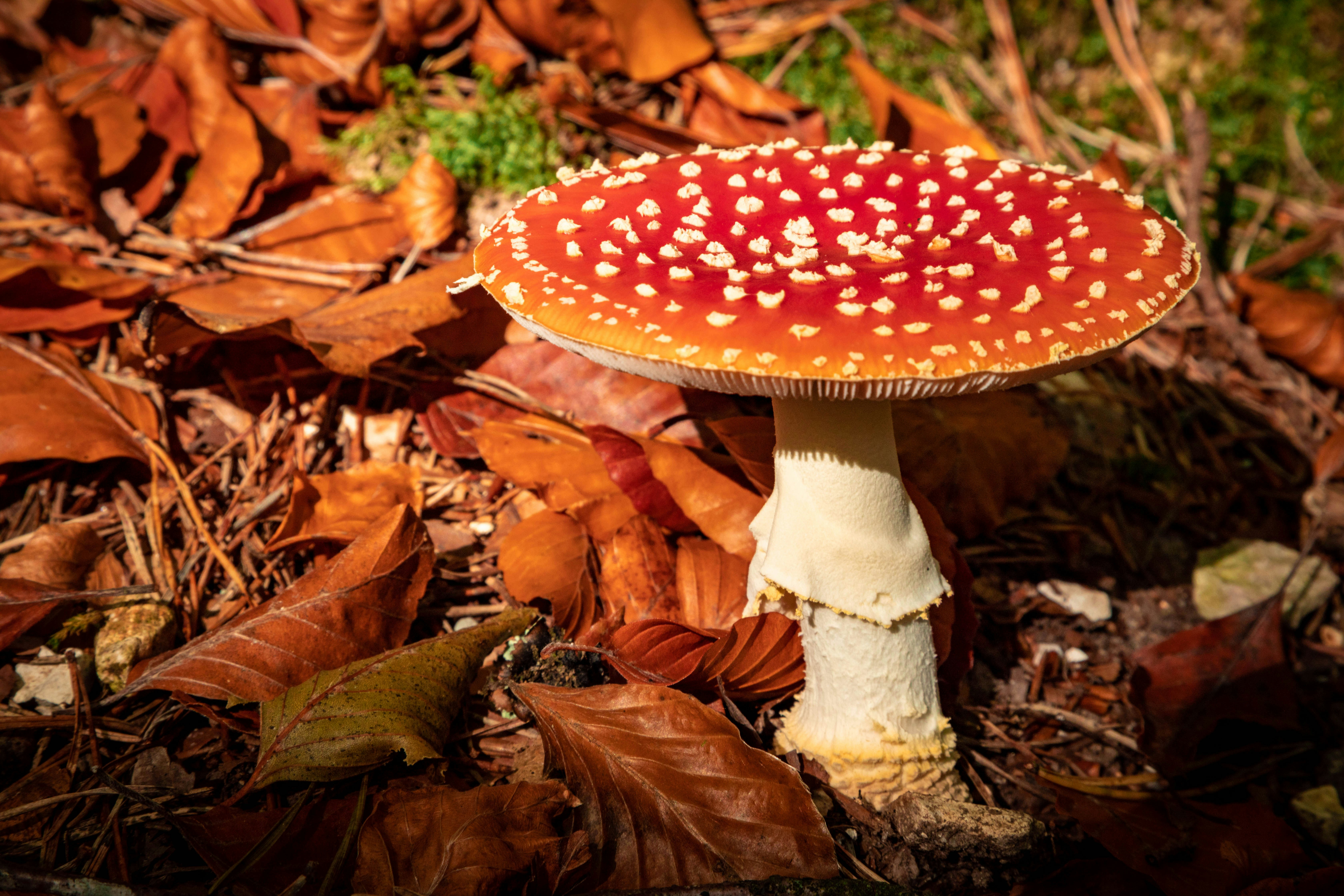 Photo by clauaimar87