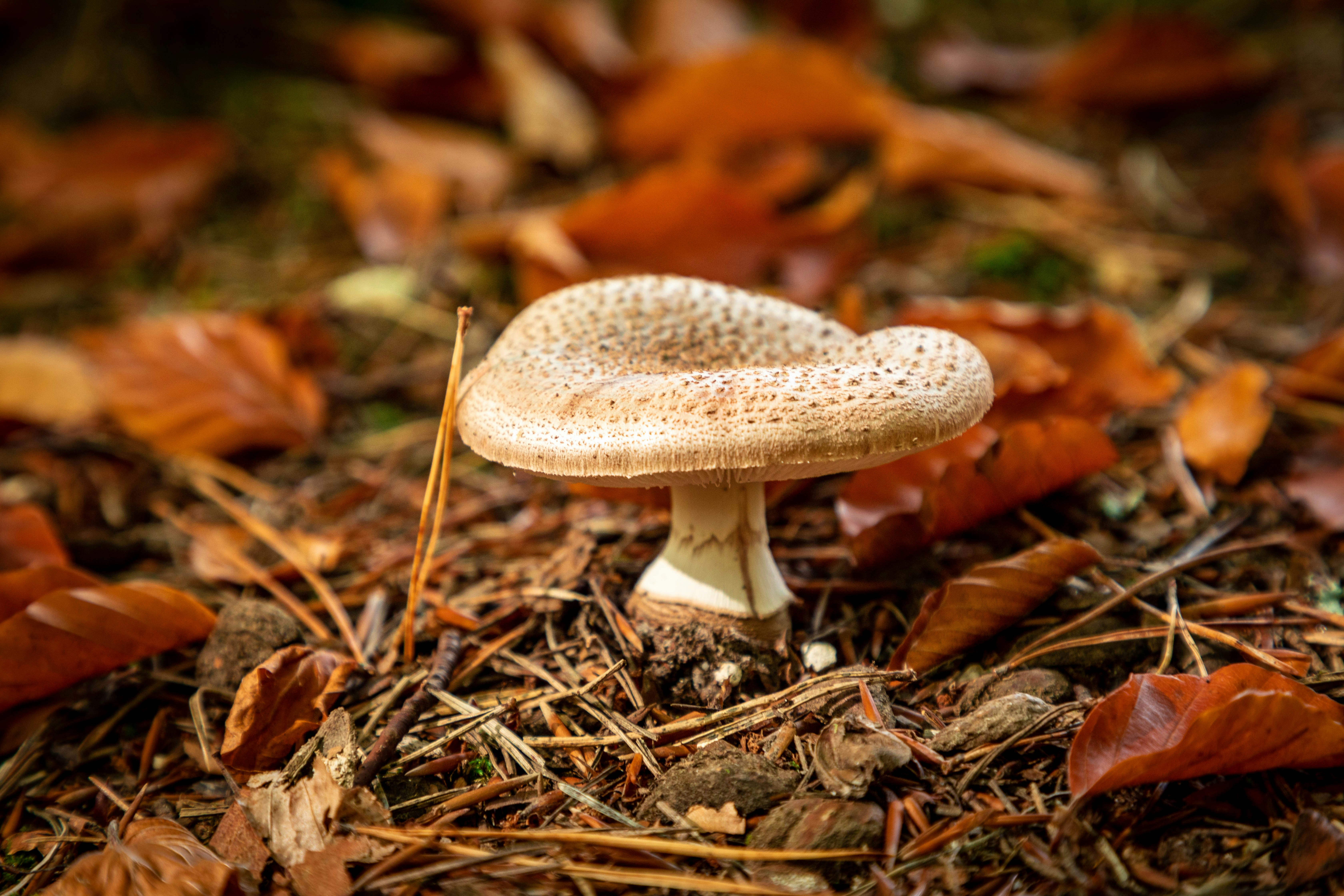 Photo by clauaimar87