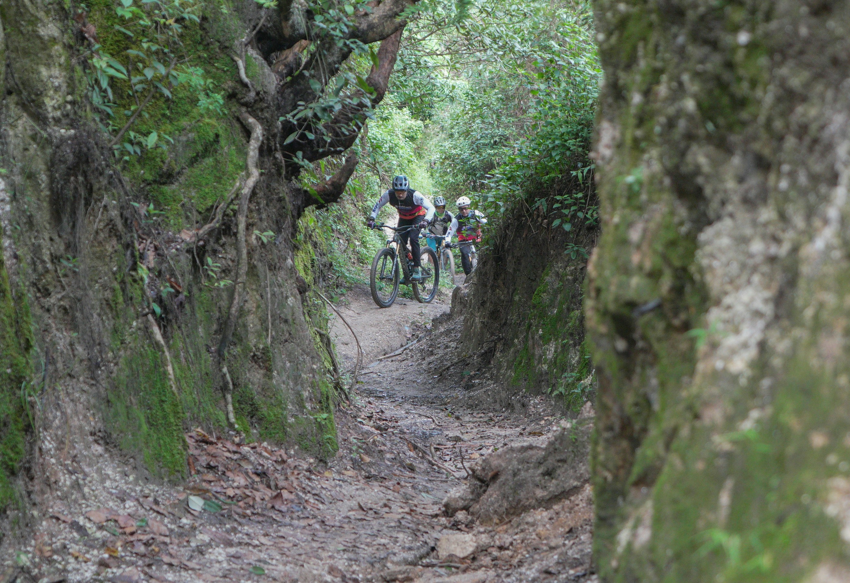 Photo by sunilcsharma