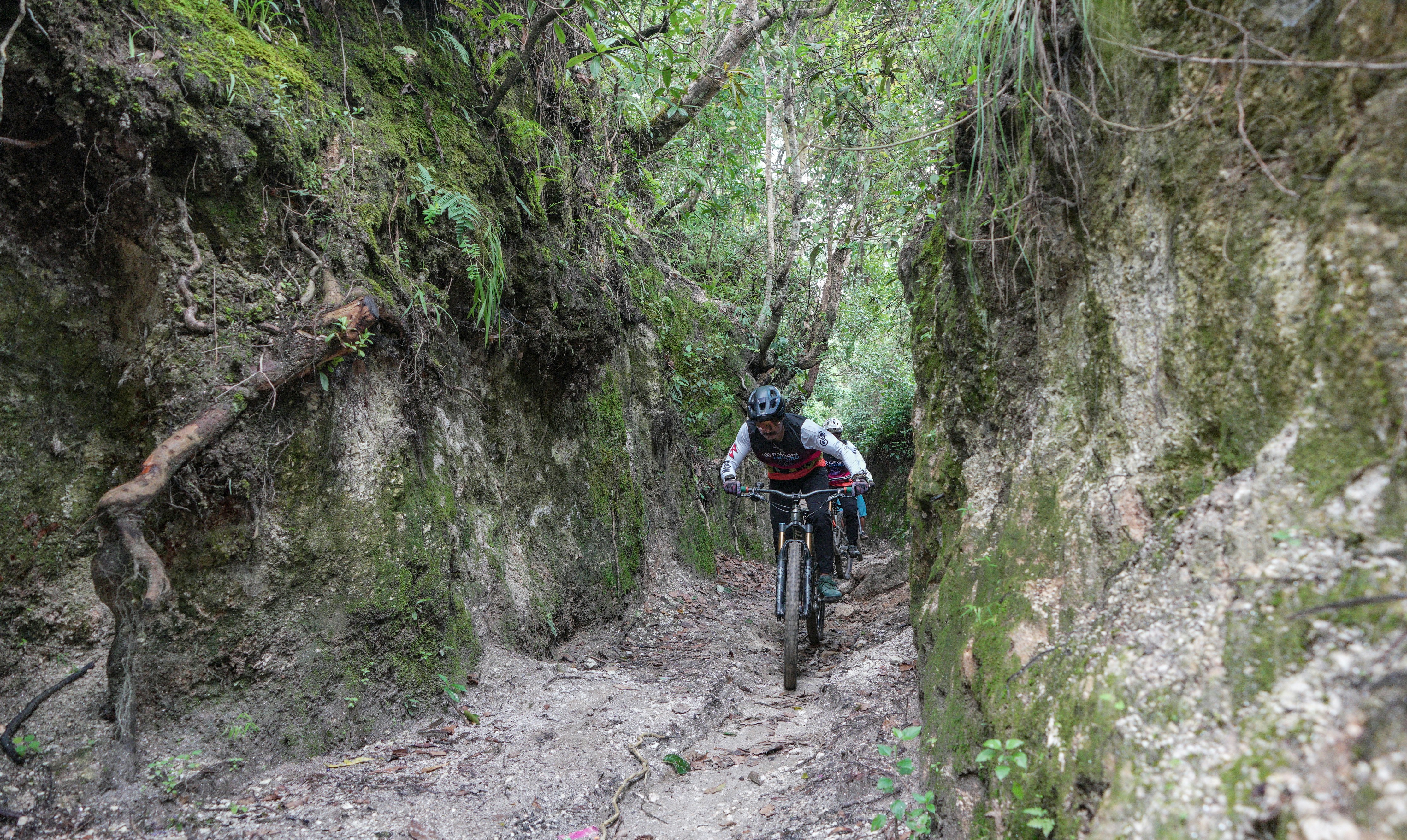 Mountain biker riding through a narrow, overgrown forest path.