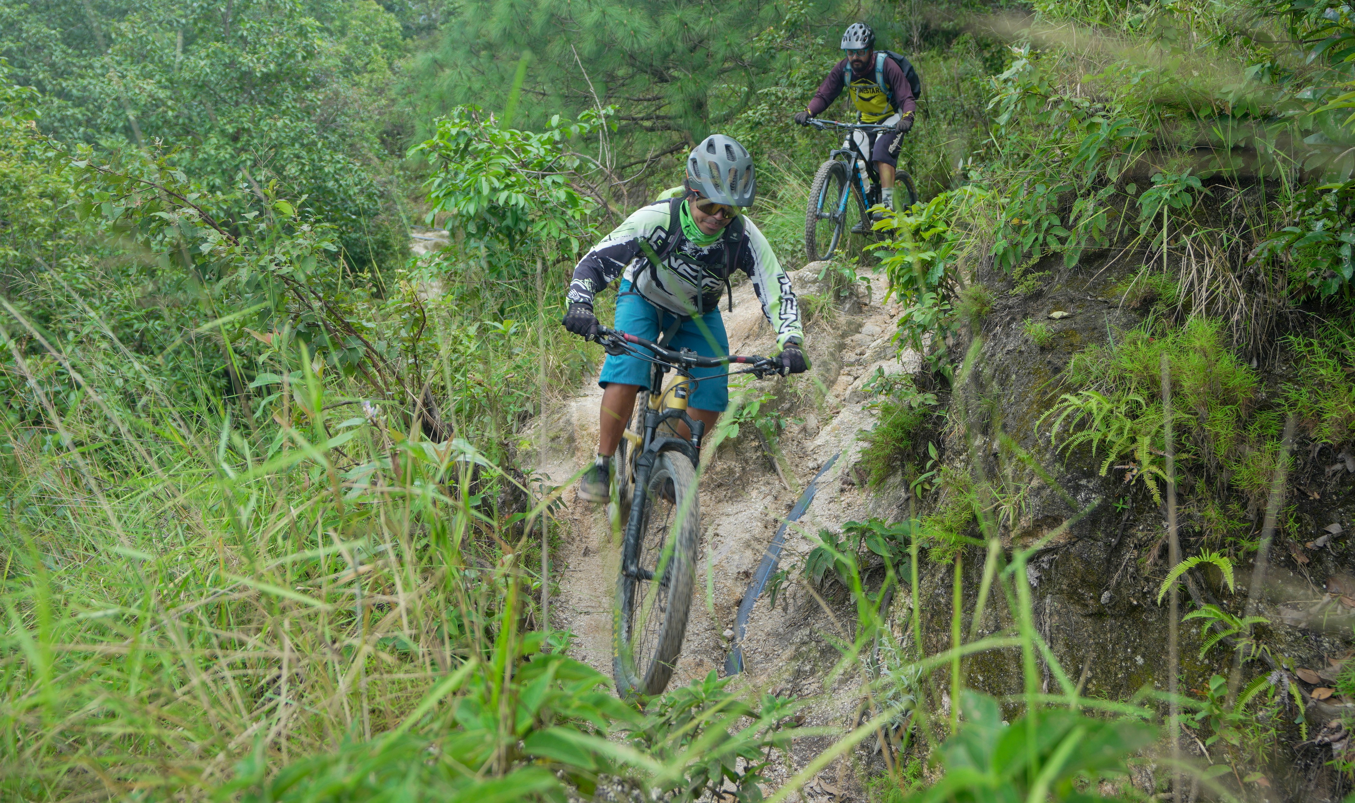 Two mountain bikers descend a steep, overgrown trail.