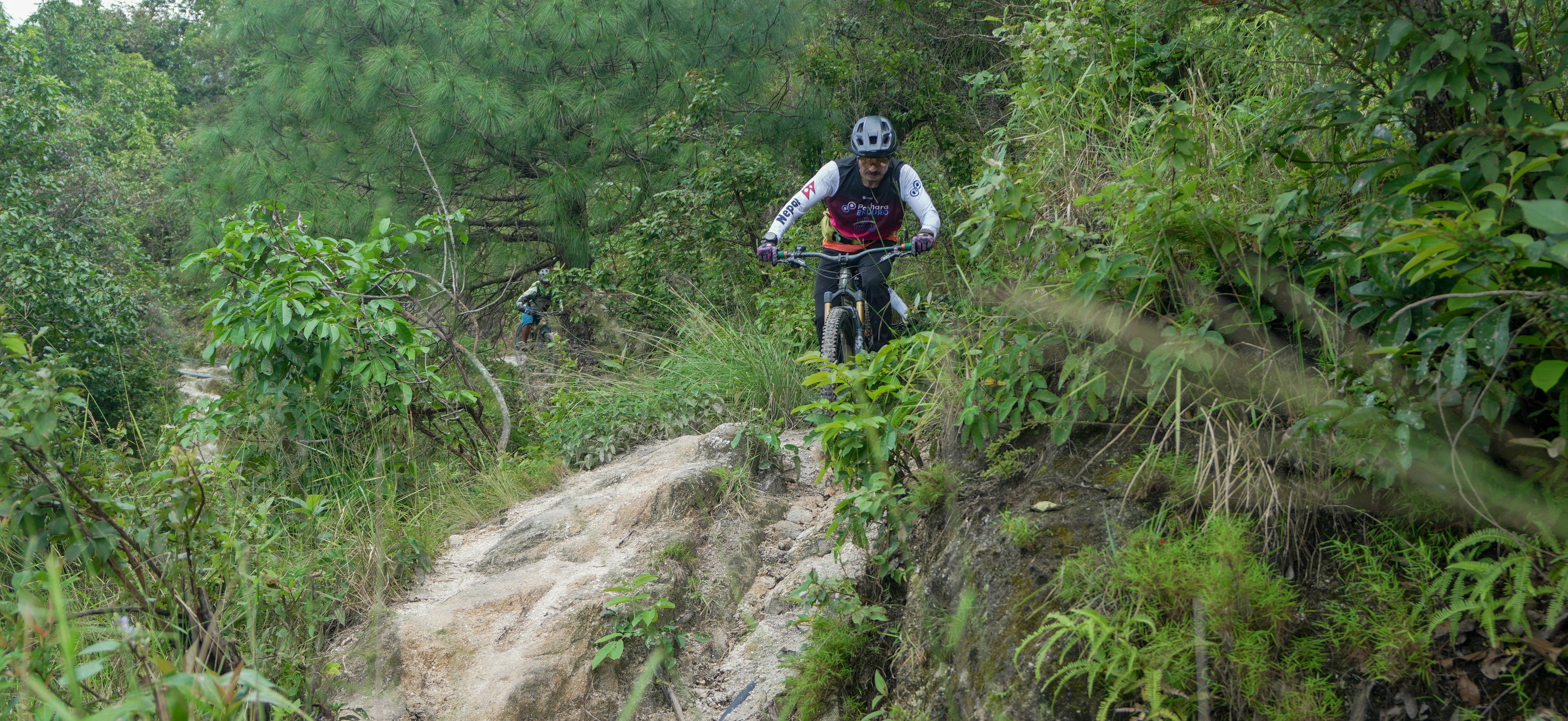 Mountain biker riding down a steep, overgrown trail.