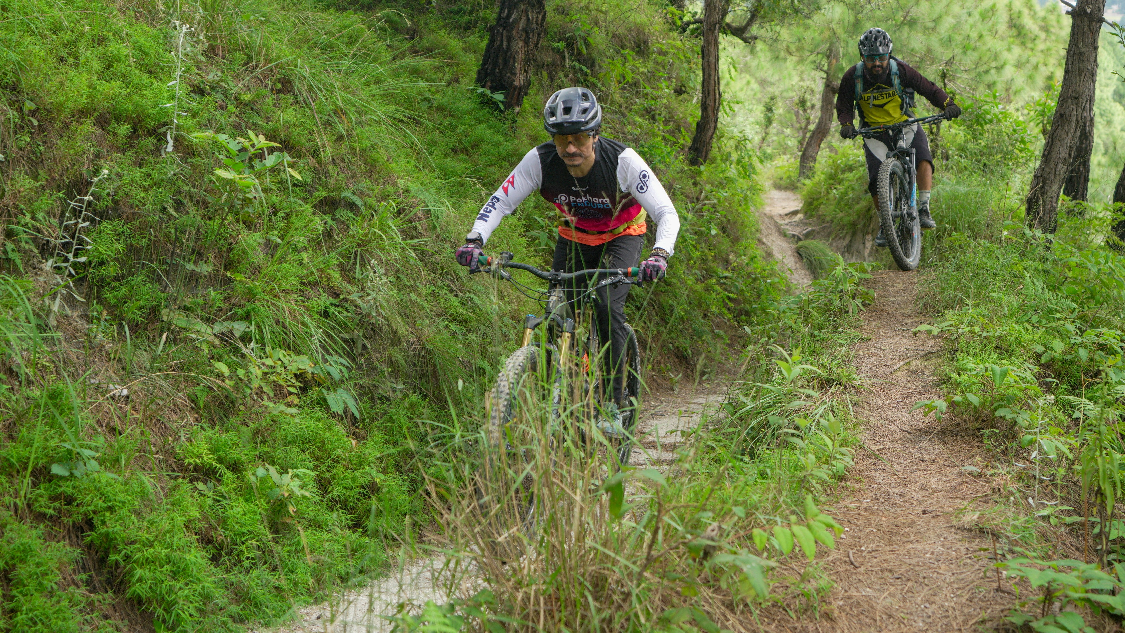 Two cyclists ride down a lush green forest trail.