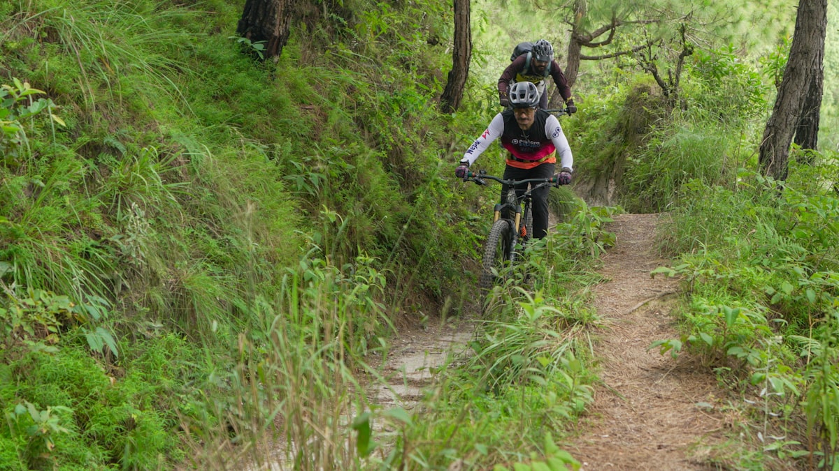 Mountain biker navigating a forest trail section