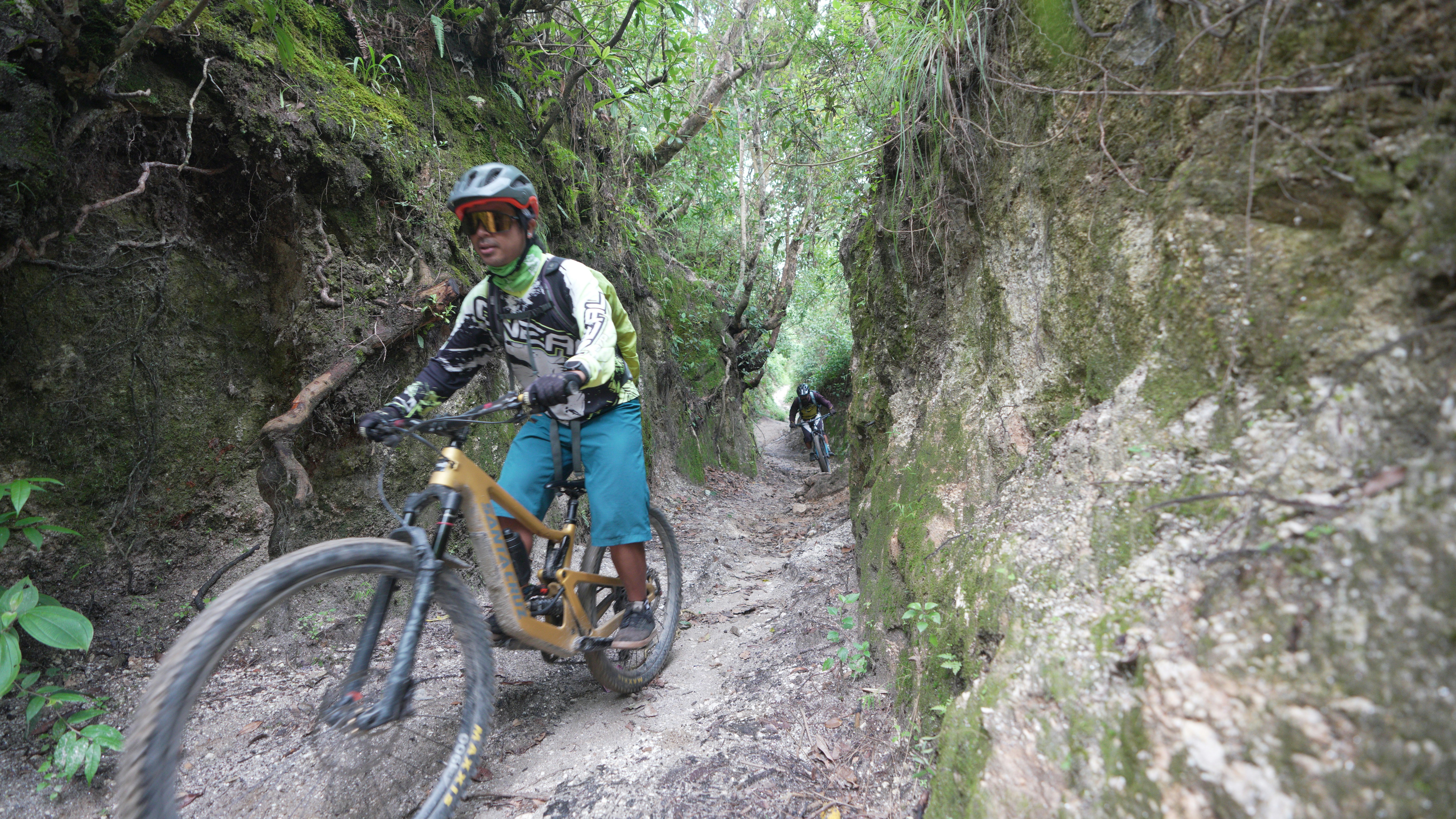 Mountain biker riding through a narrow forest trail