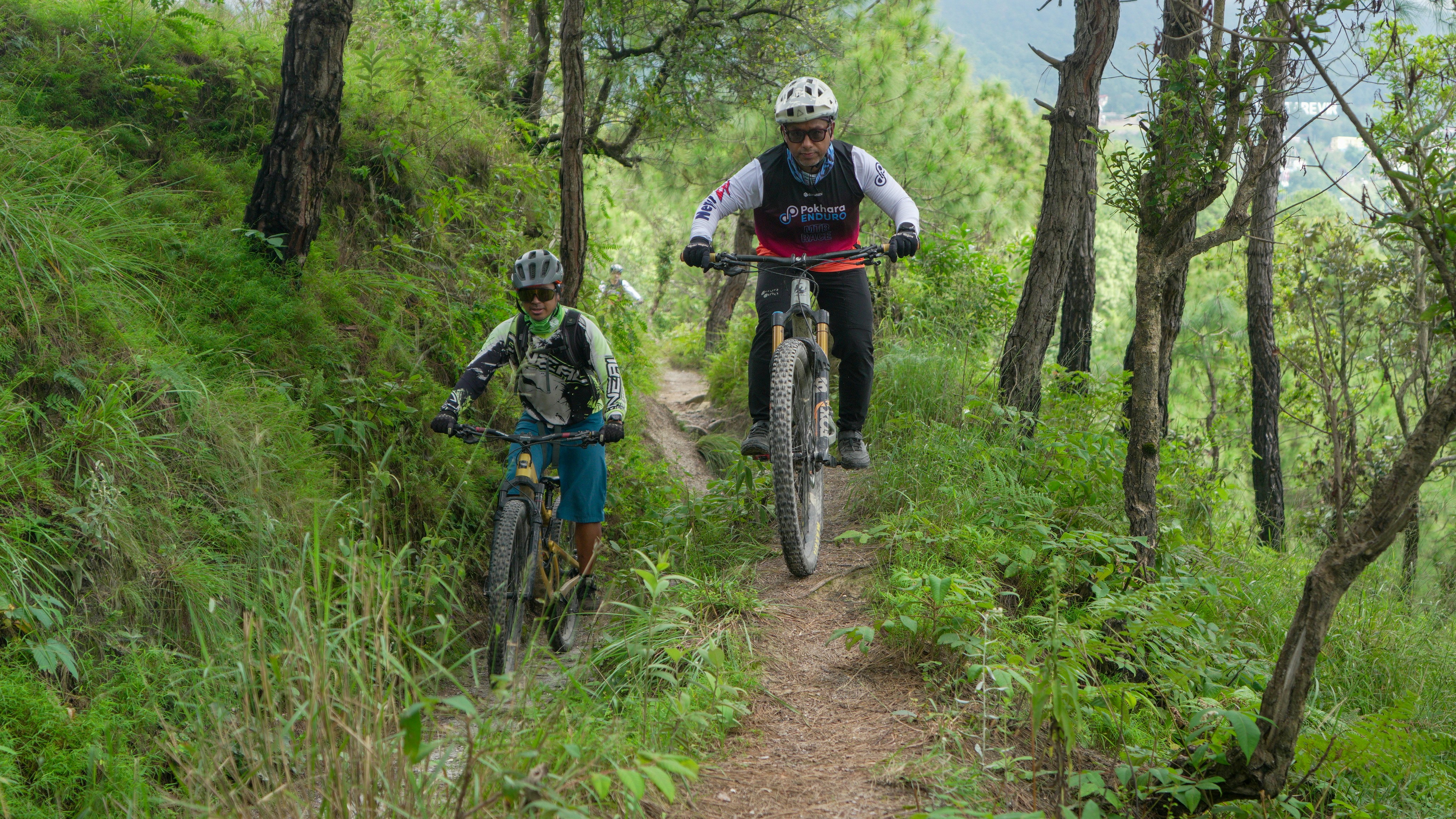 Two people mountain biking on a forest trail.