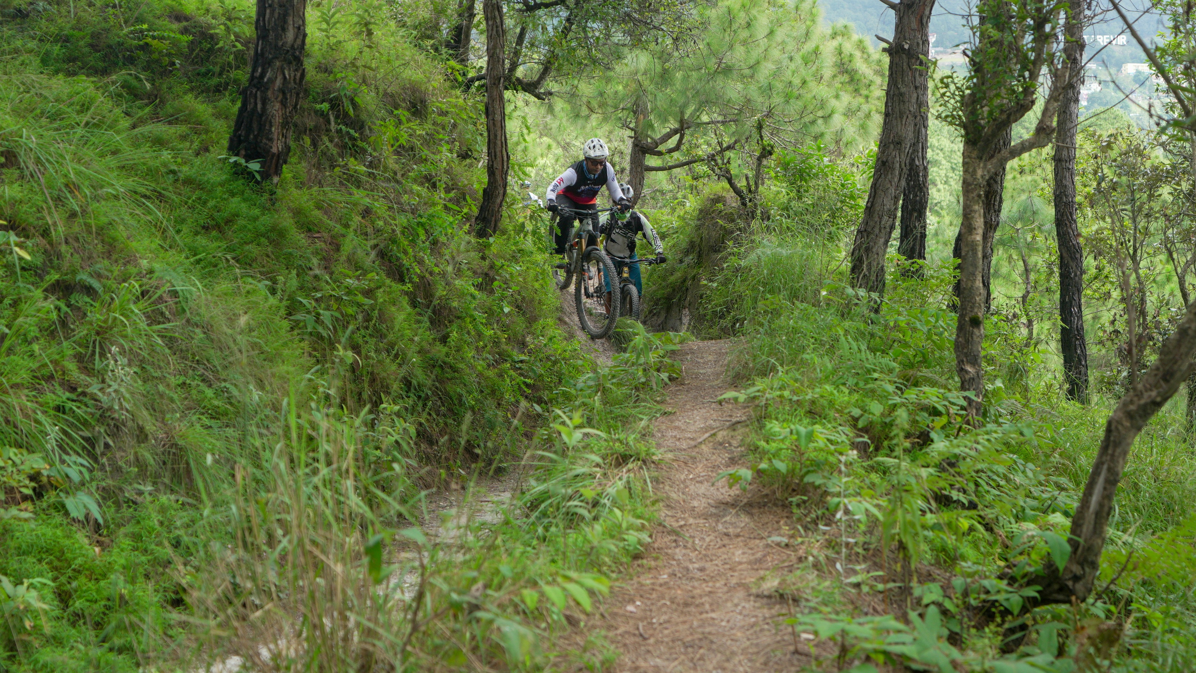 Mountain biker riding on a narrow forest trail.