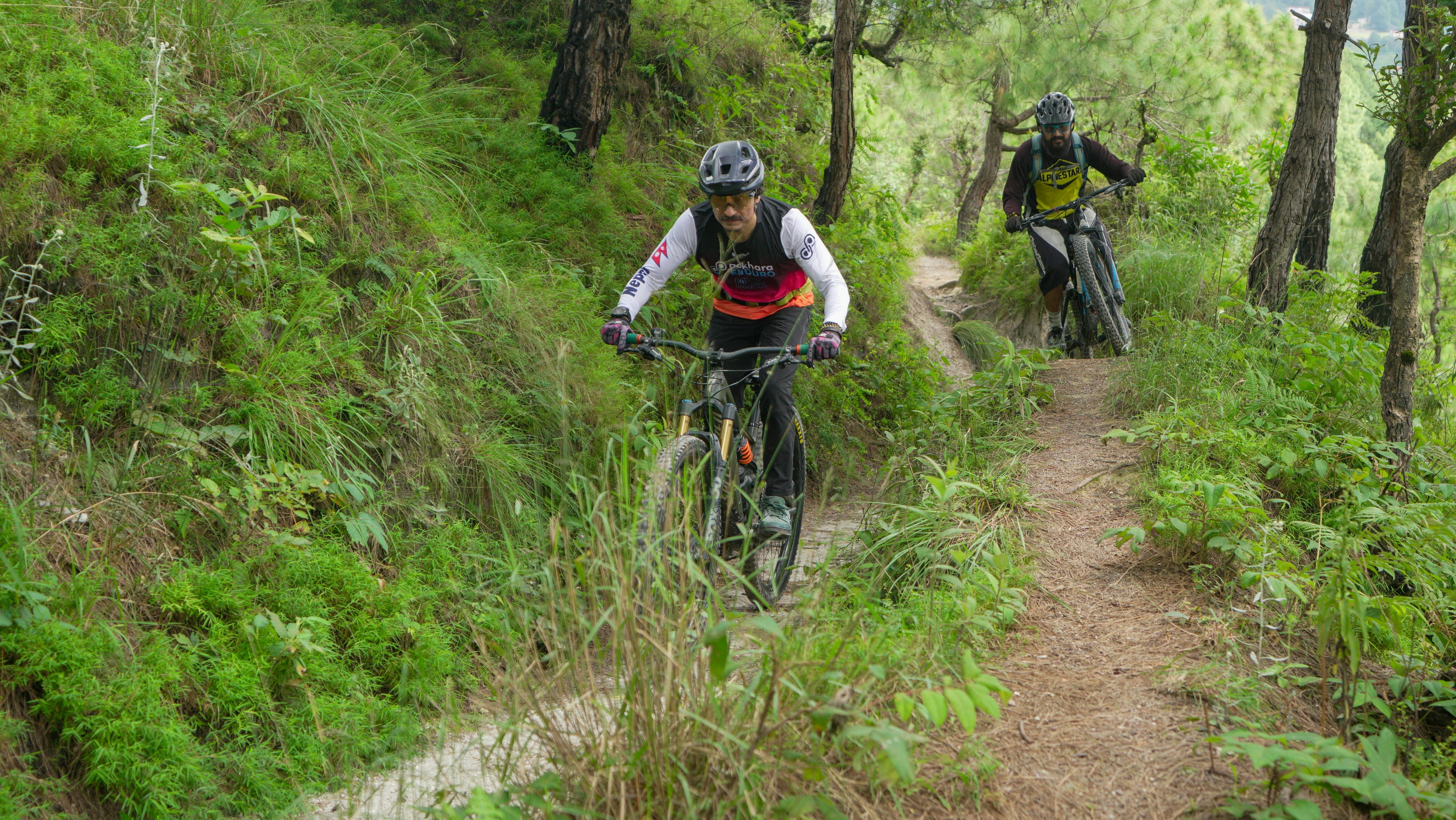 Two cyclists ride down a dirt path in a forest.