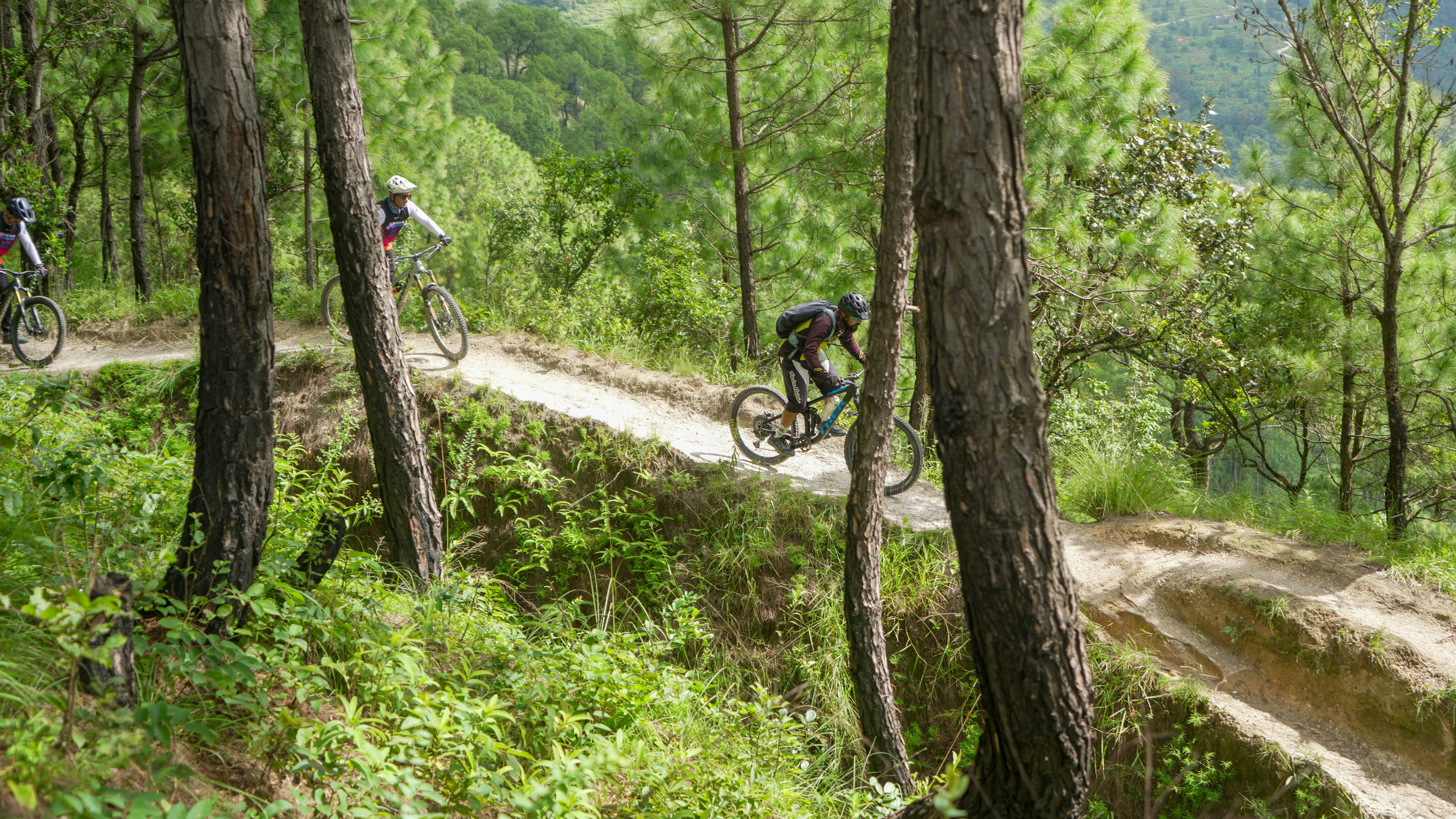 Cyclists riding on a dirt path through a forest.