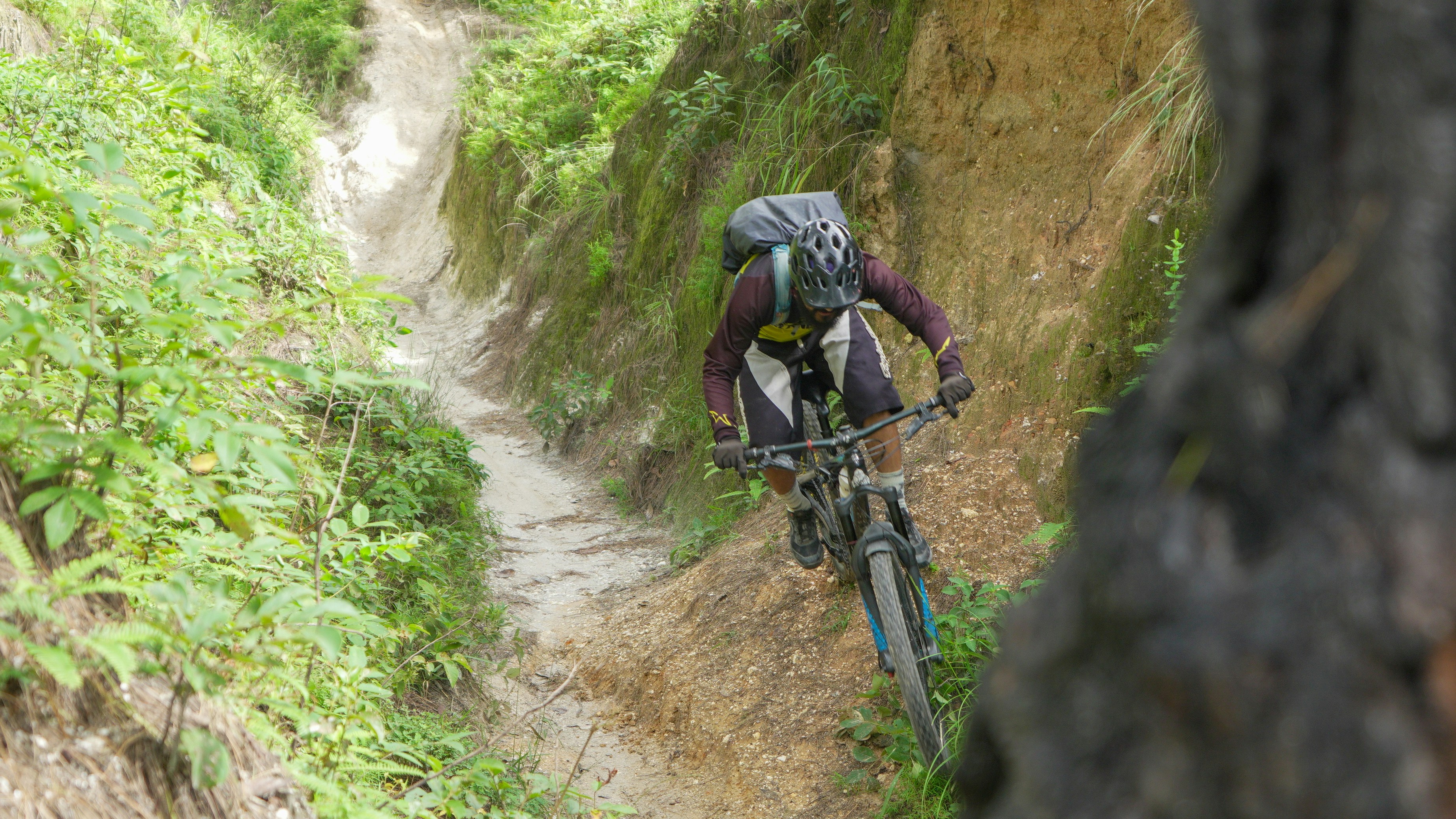 Mountain biker descending steep, overgrown trail with greenery trail