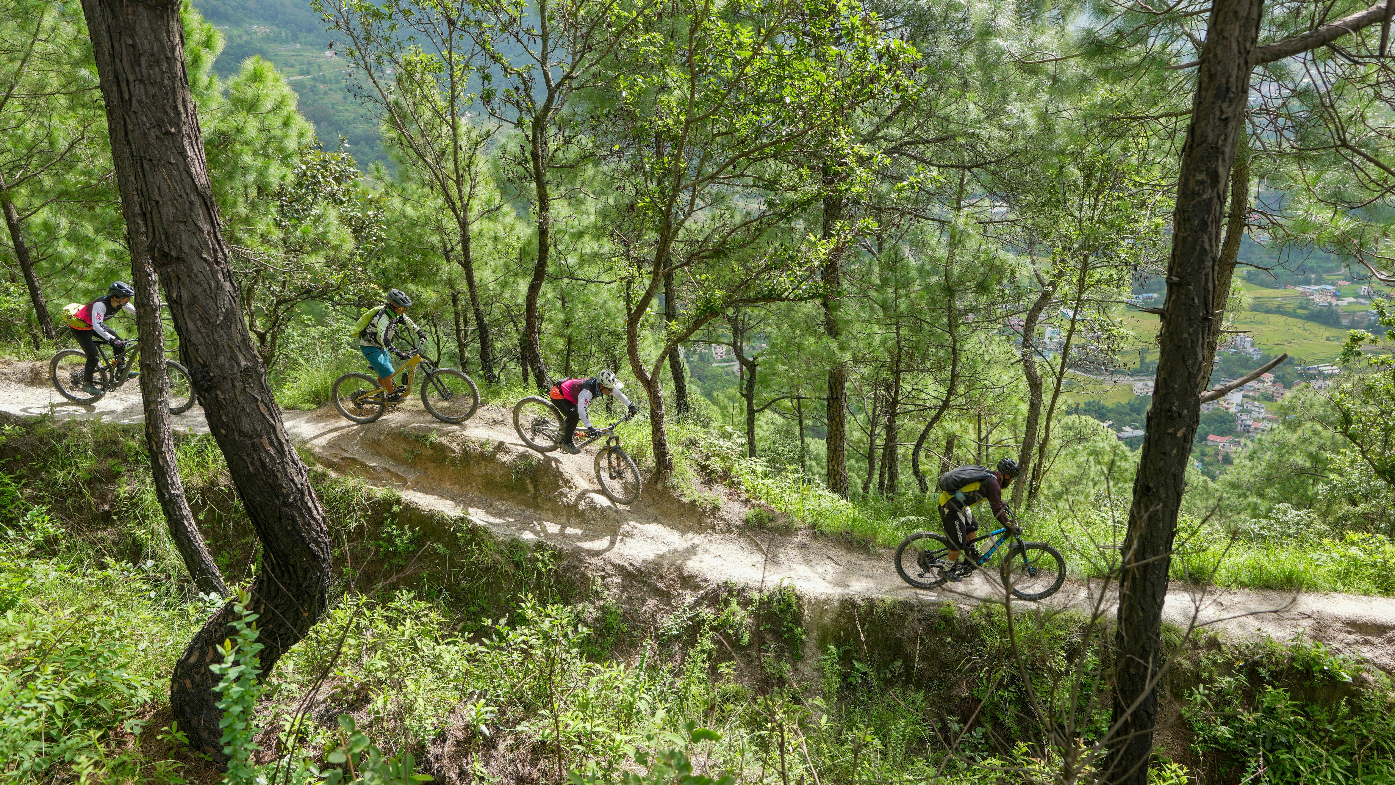 Mountain bikers riding on a scenic forest trail.