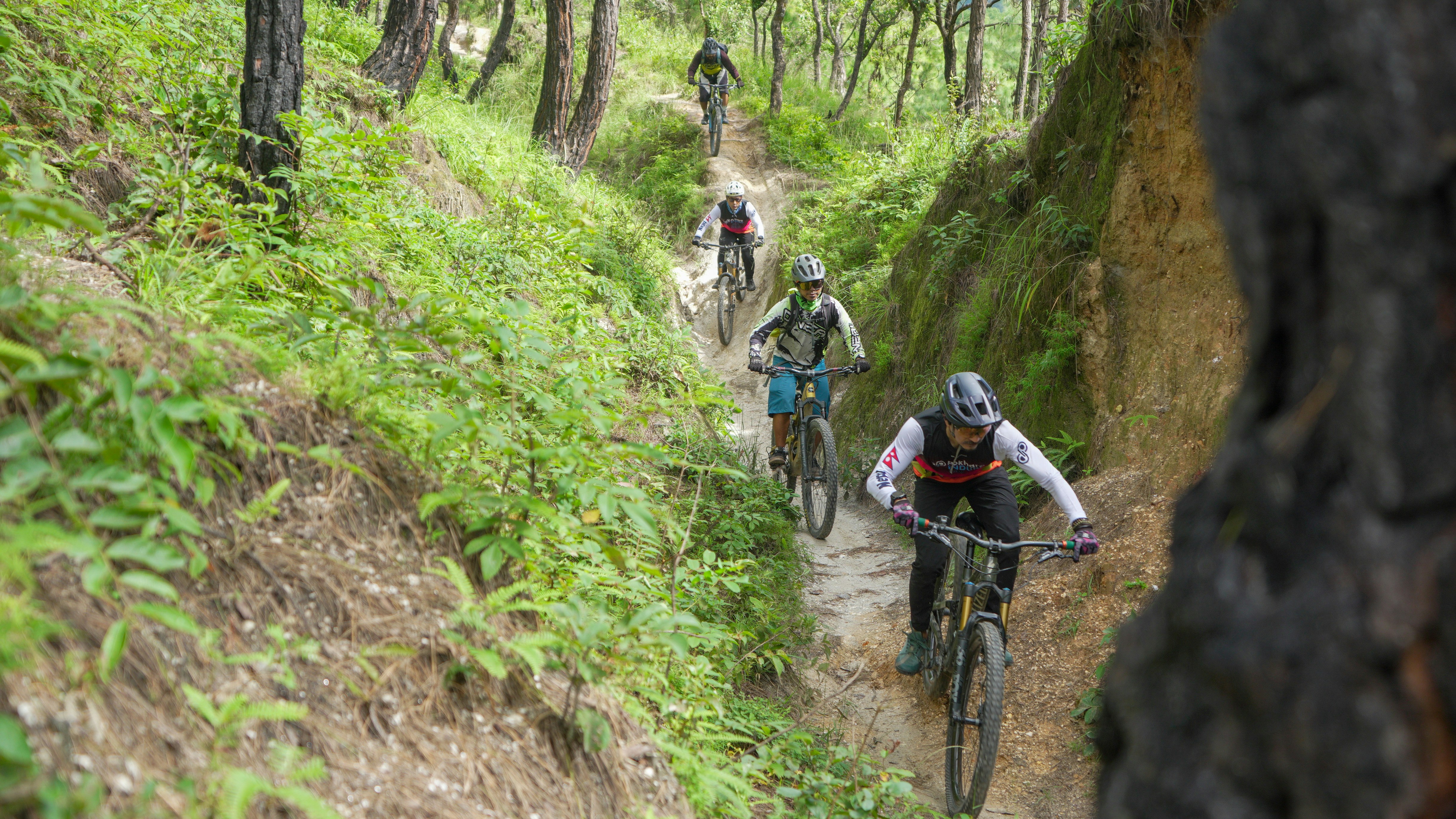 Group of cyclists riding on a narrow forest trail.