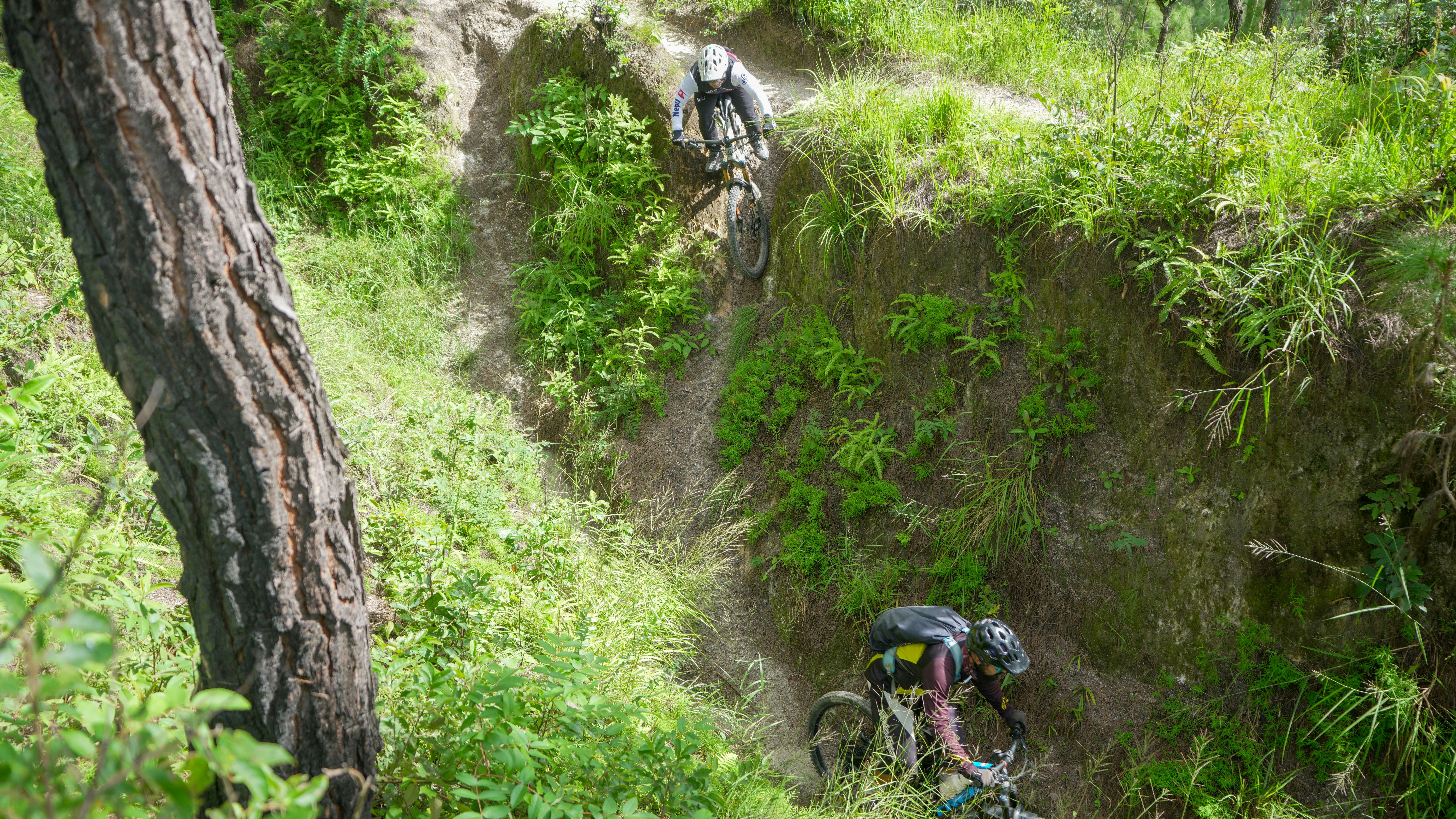 Two mountain bikers descending a steep, overgrown trail.