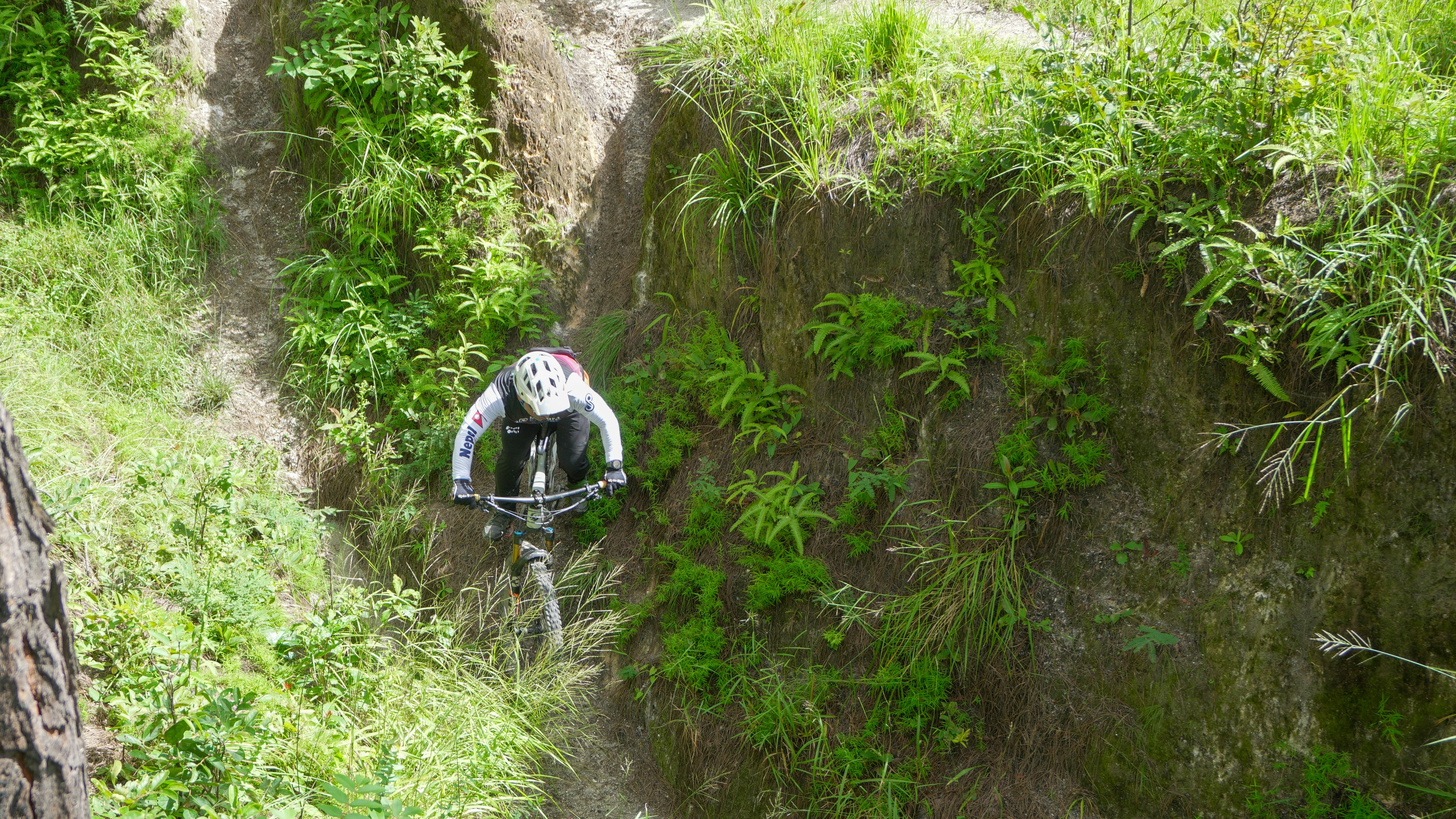 Mountain biker descending a steep, overgrown trail.