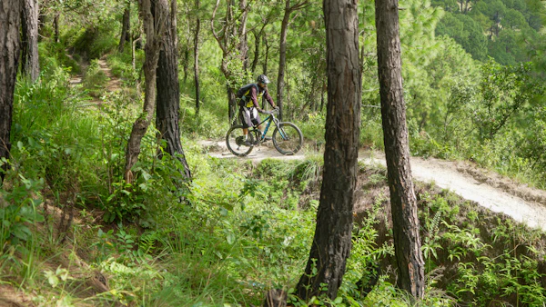 Mountain biking on forest trail