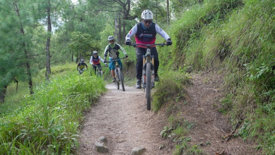 People mountain biking on a dirt path