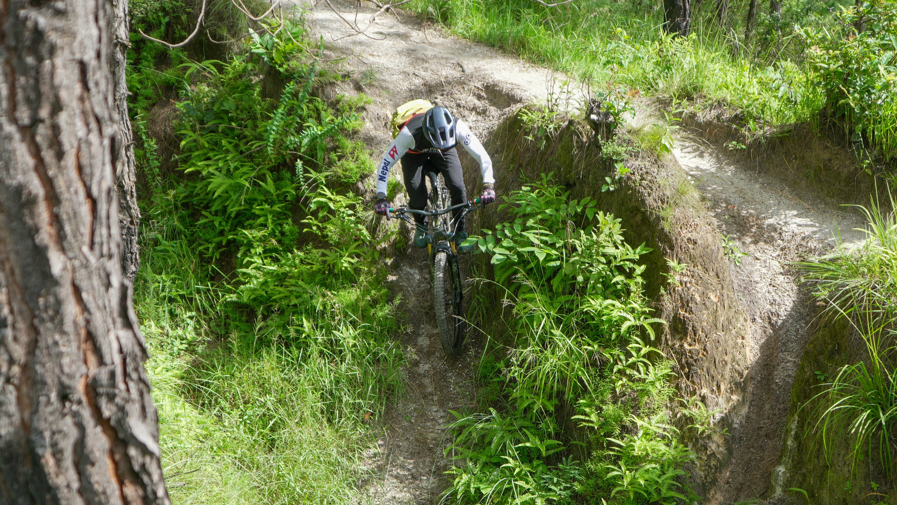 Photo by sunilcsharma