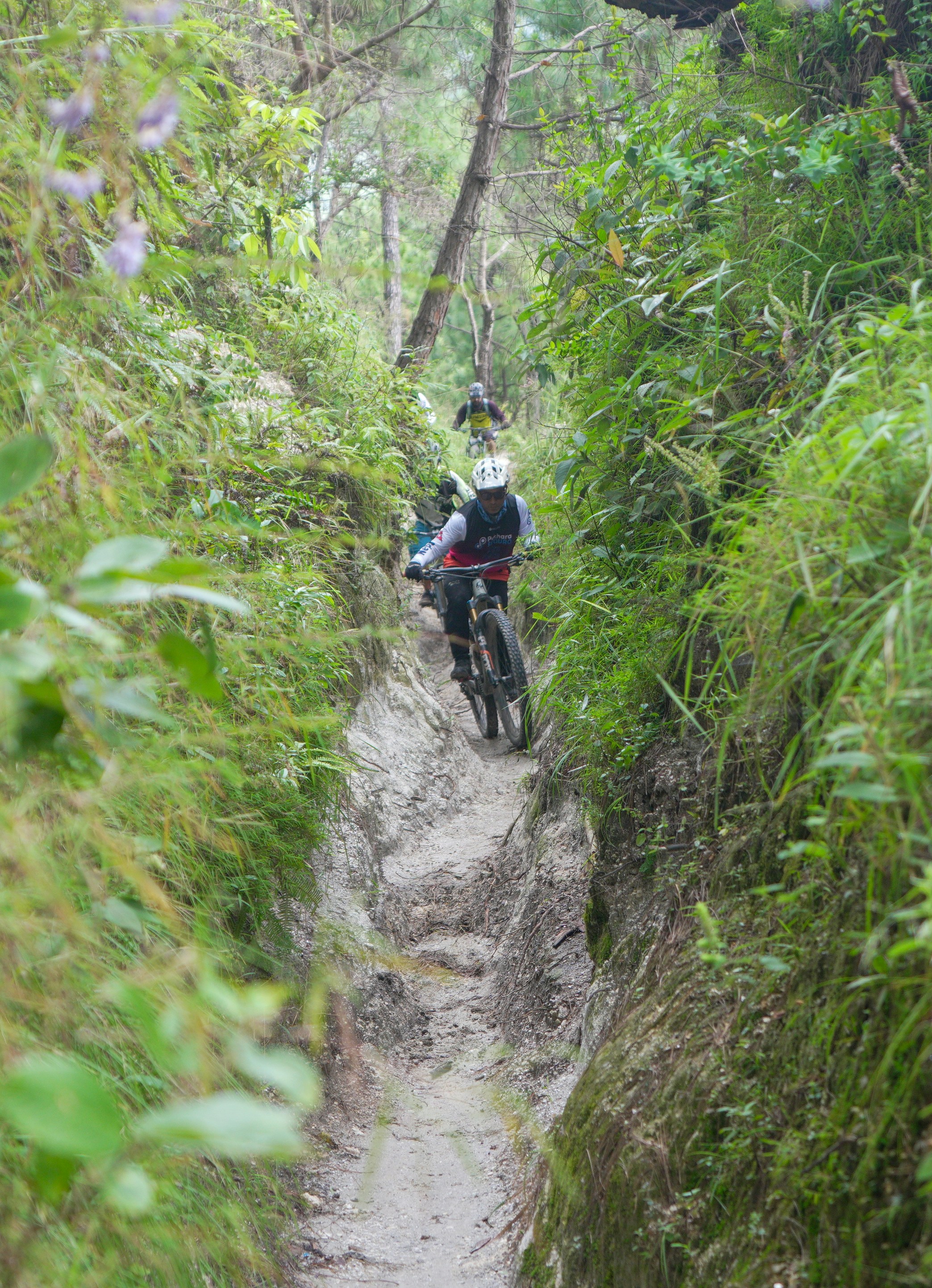 Photo by sunilcsharma