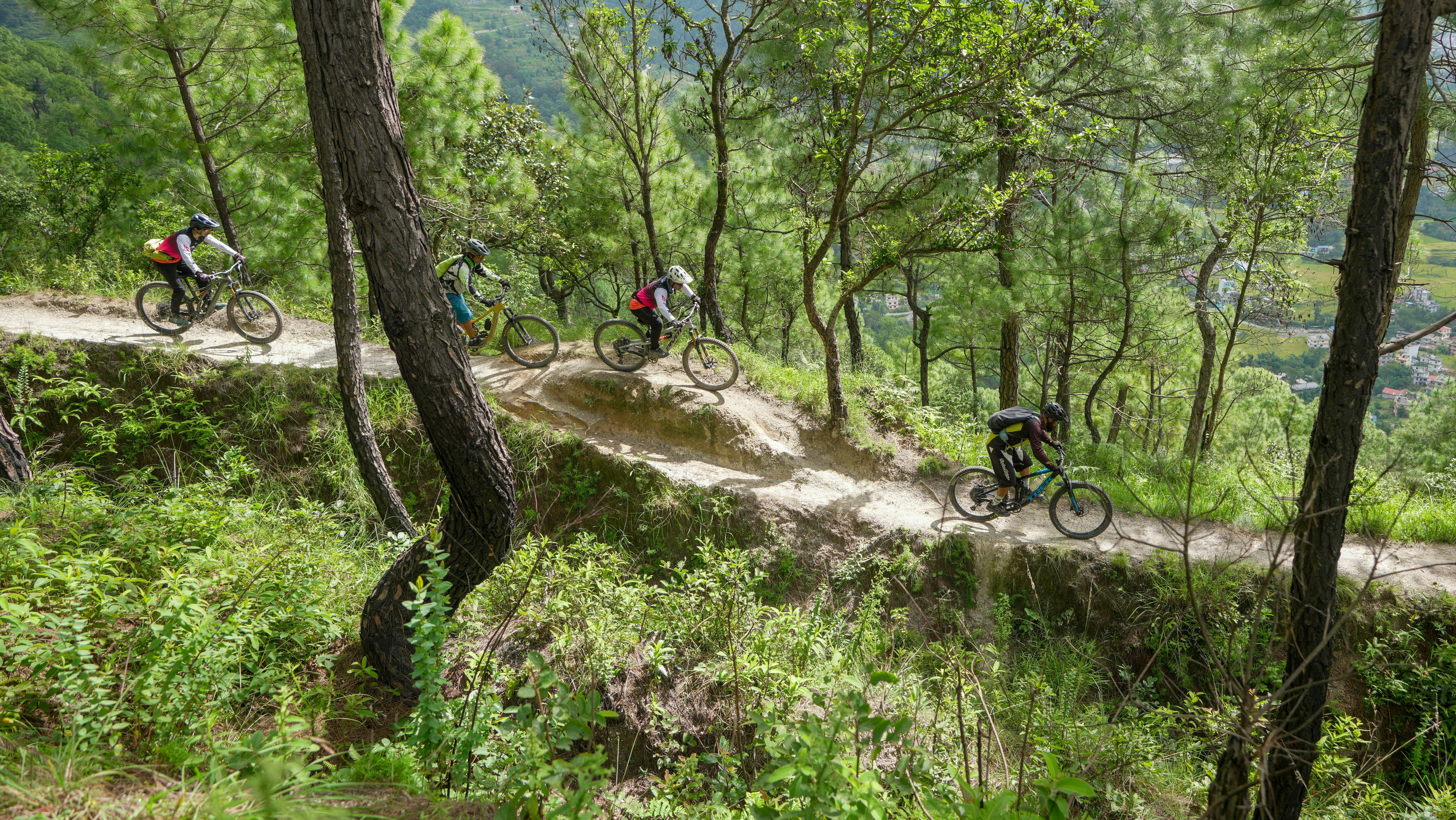 Cyclists riding on a narrow dirt trail through trees.