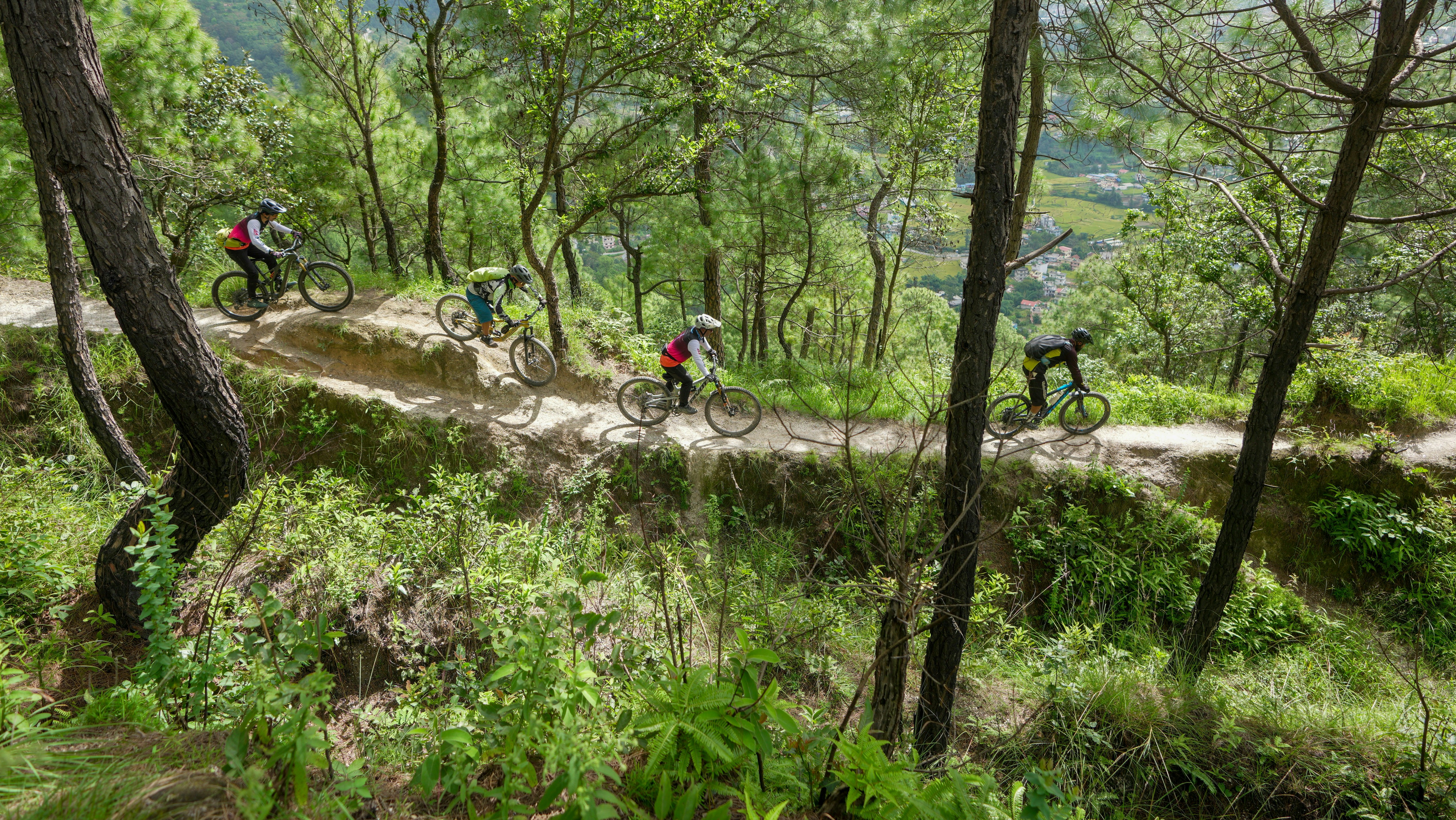 Mountain bikers riding on a forest trail