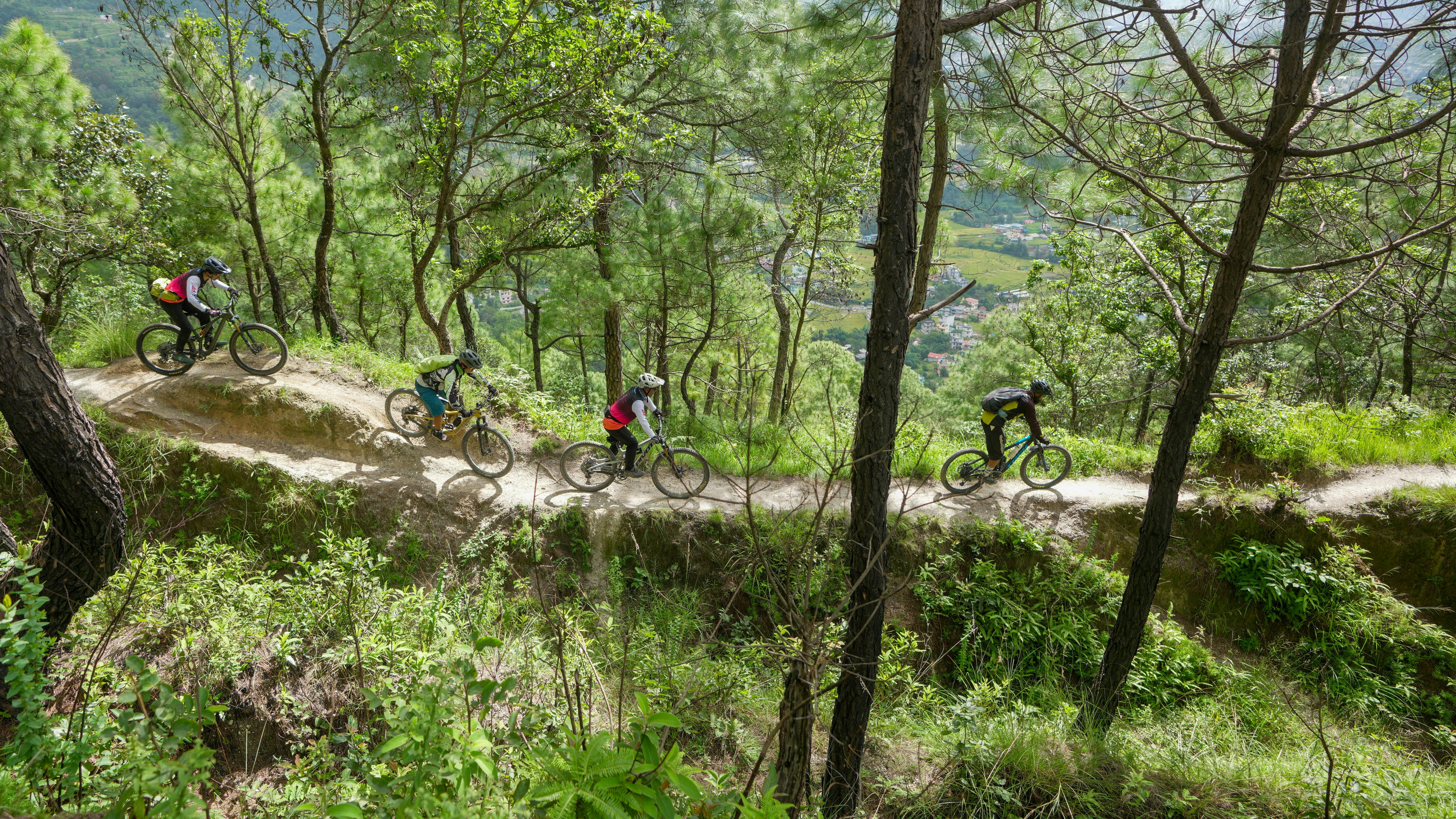 Mountain bikers ride on a scenic forest trail