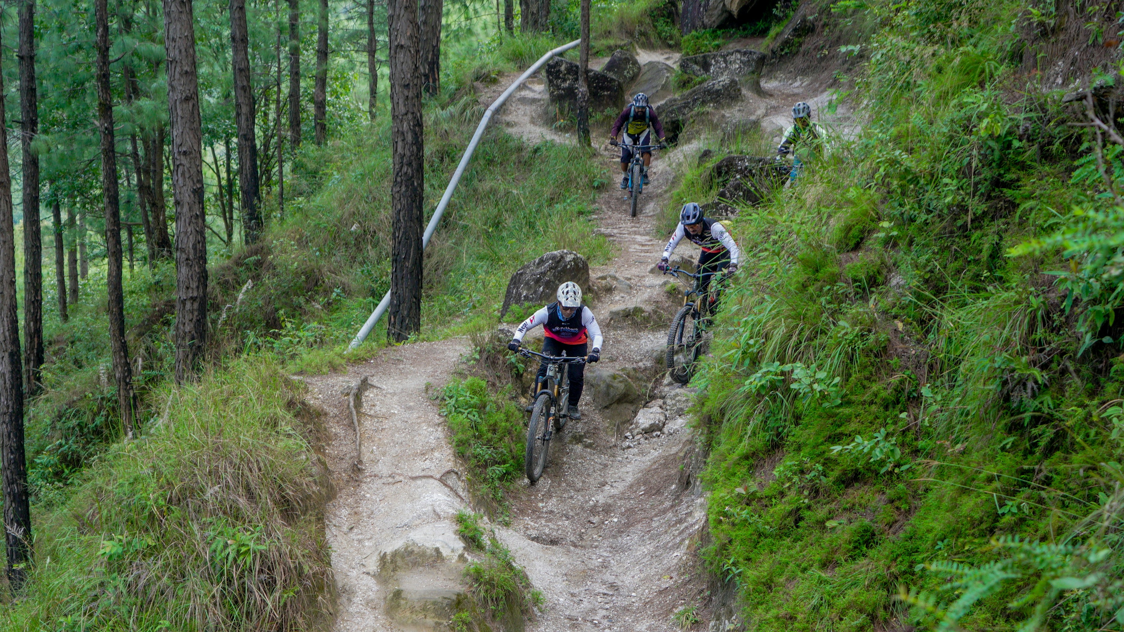 Mountain bikers descend a steep, wooded trail.