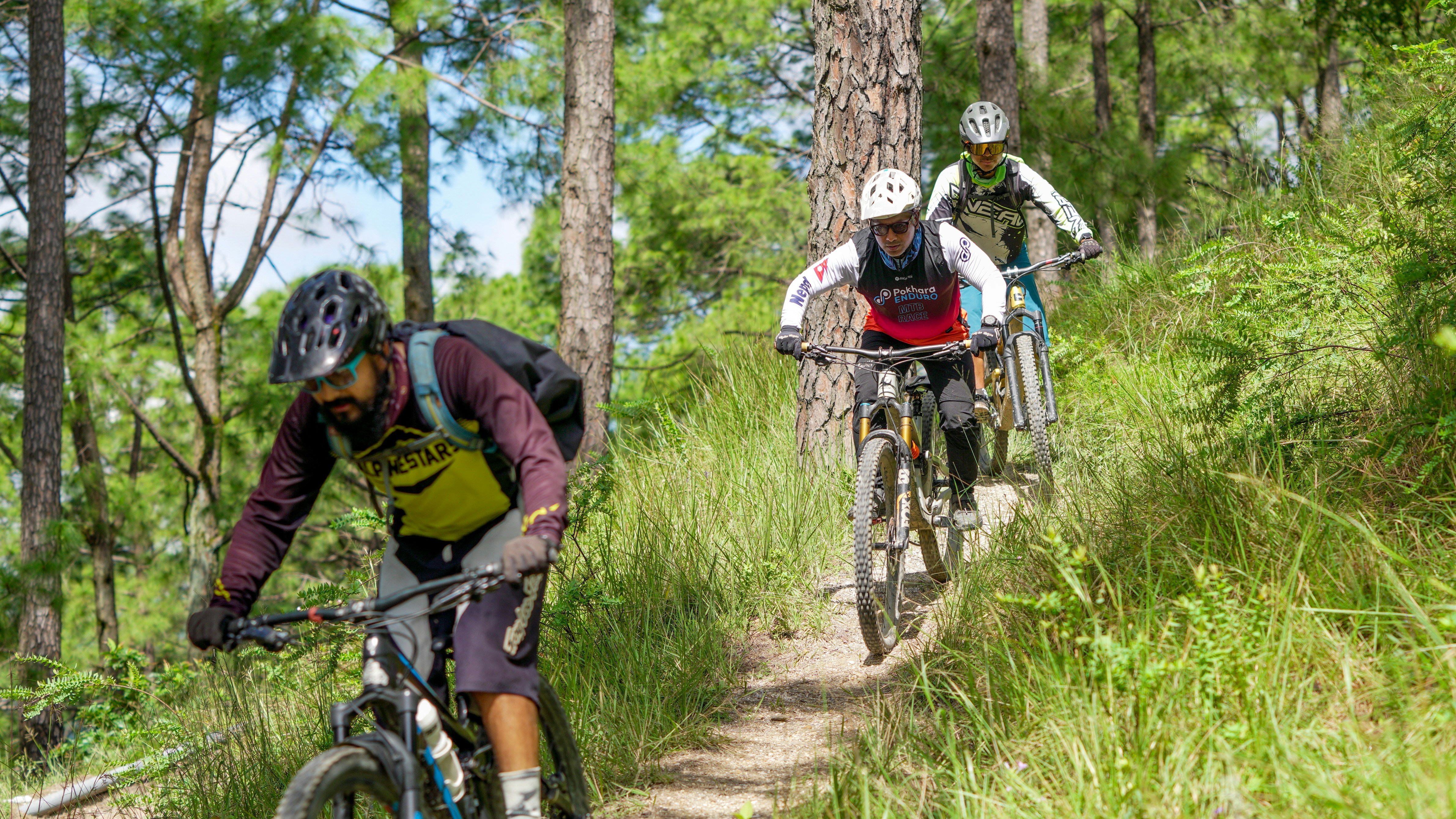 Three cyclists ride down a wooded trail.