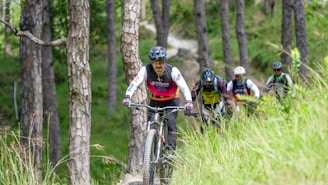 Cyclists riding on a forest trail