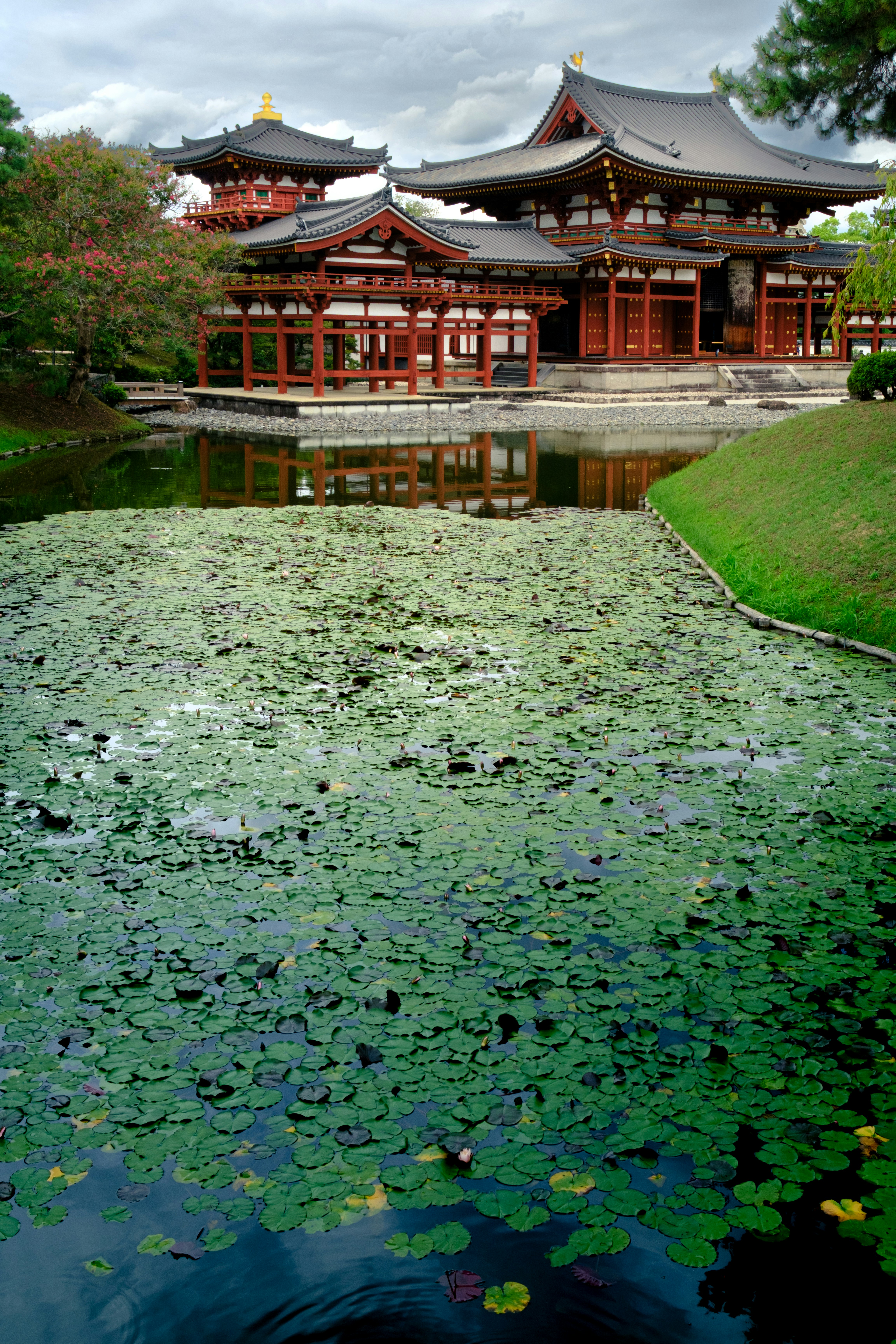 Japanese temple with a lily pond