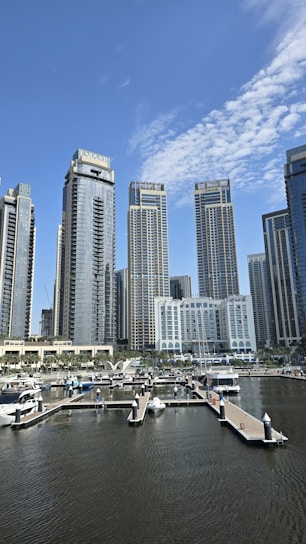 Modern skyscrapers overlook a marina with boats on the water.