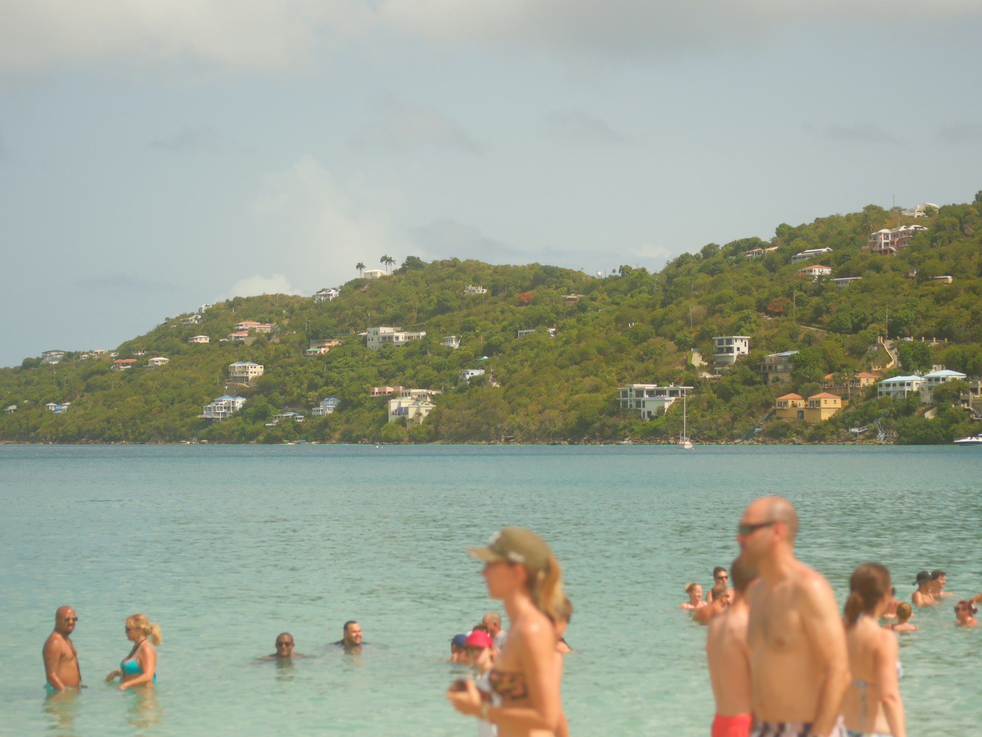 People swimming in the ocean with a green, hilly coastline.
