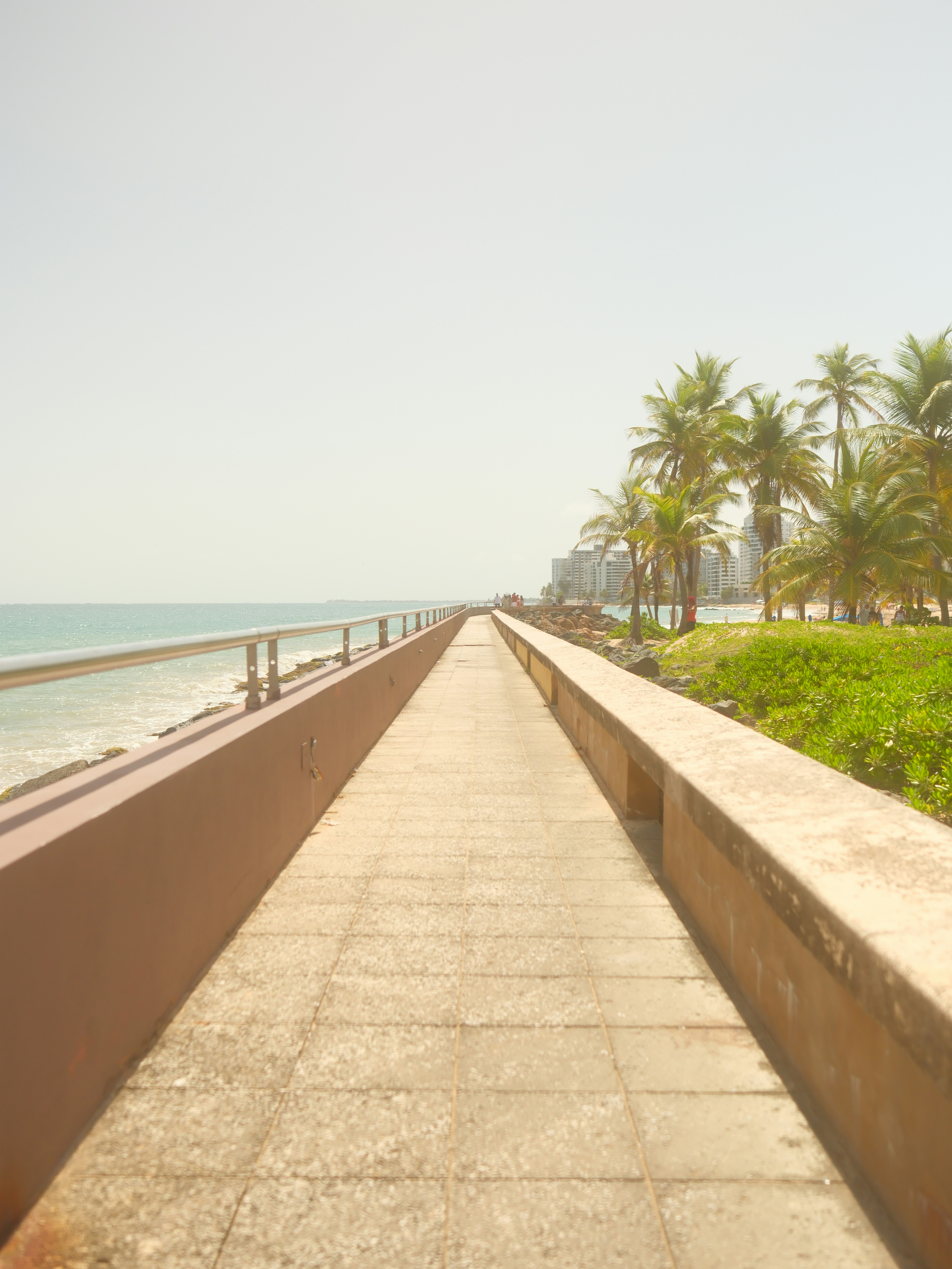 A paved walkway along a tropical coastline with palm trees.