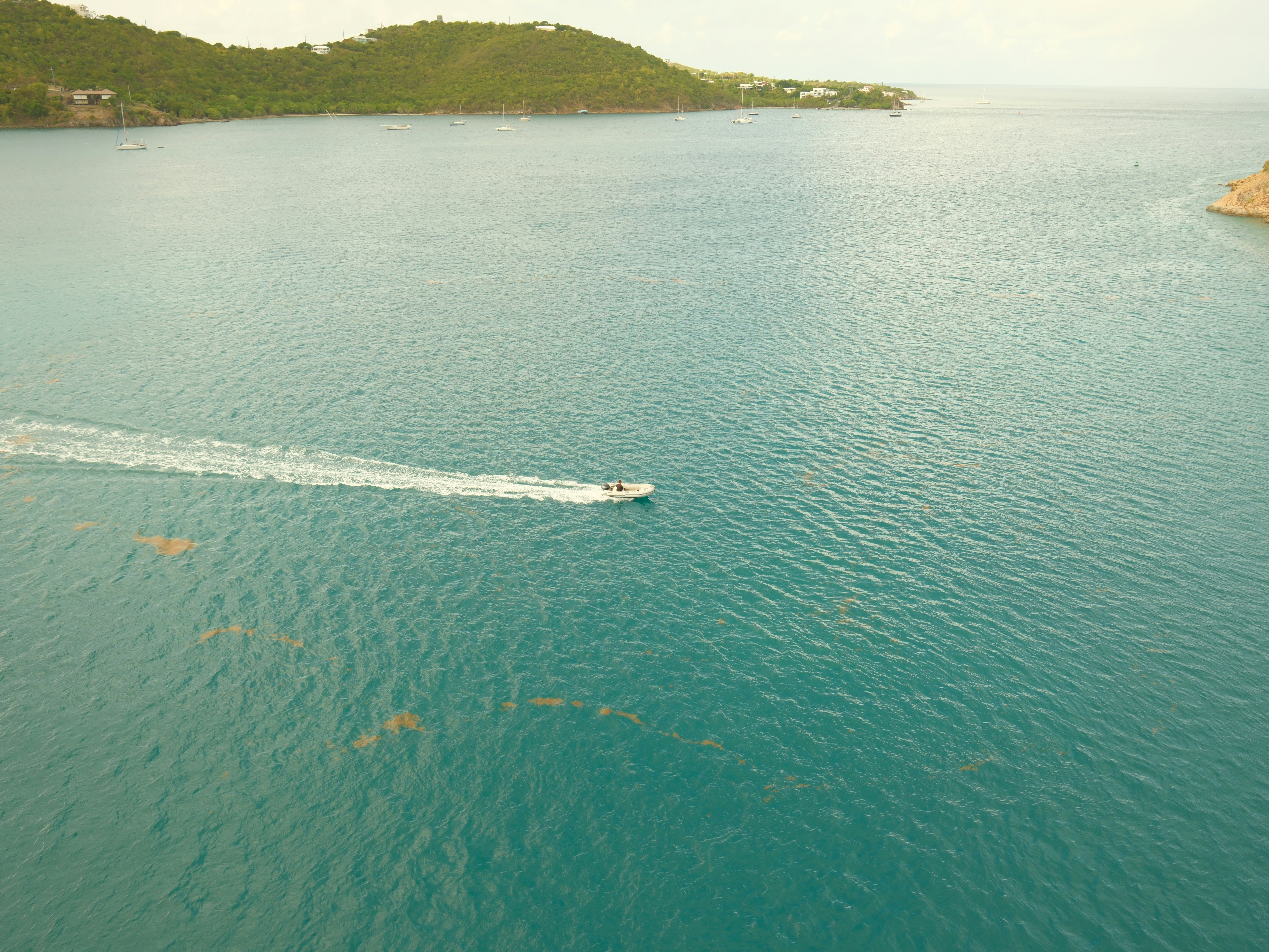 Boat speeding across a vast blue ocean