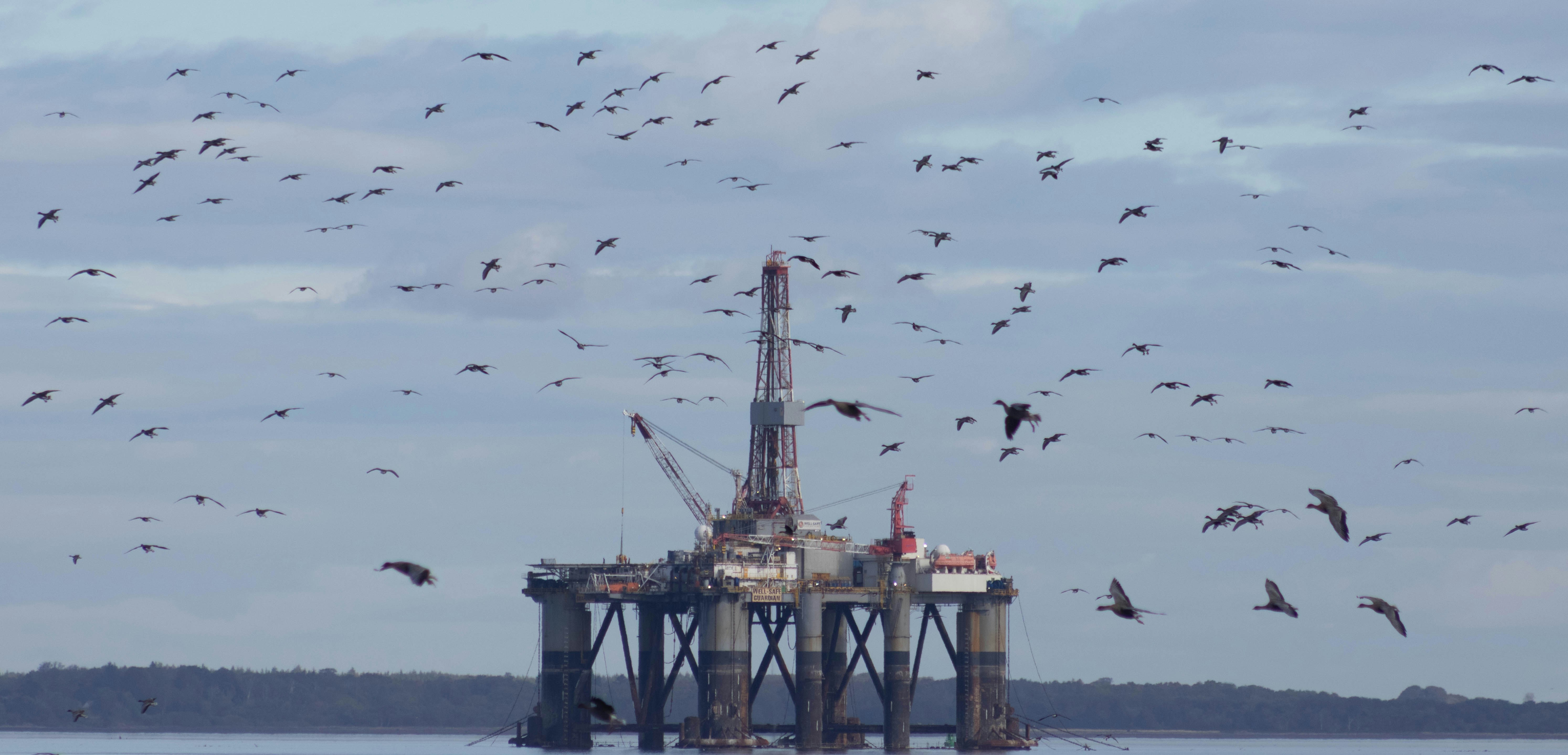 Industrial drilling site