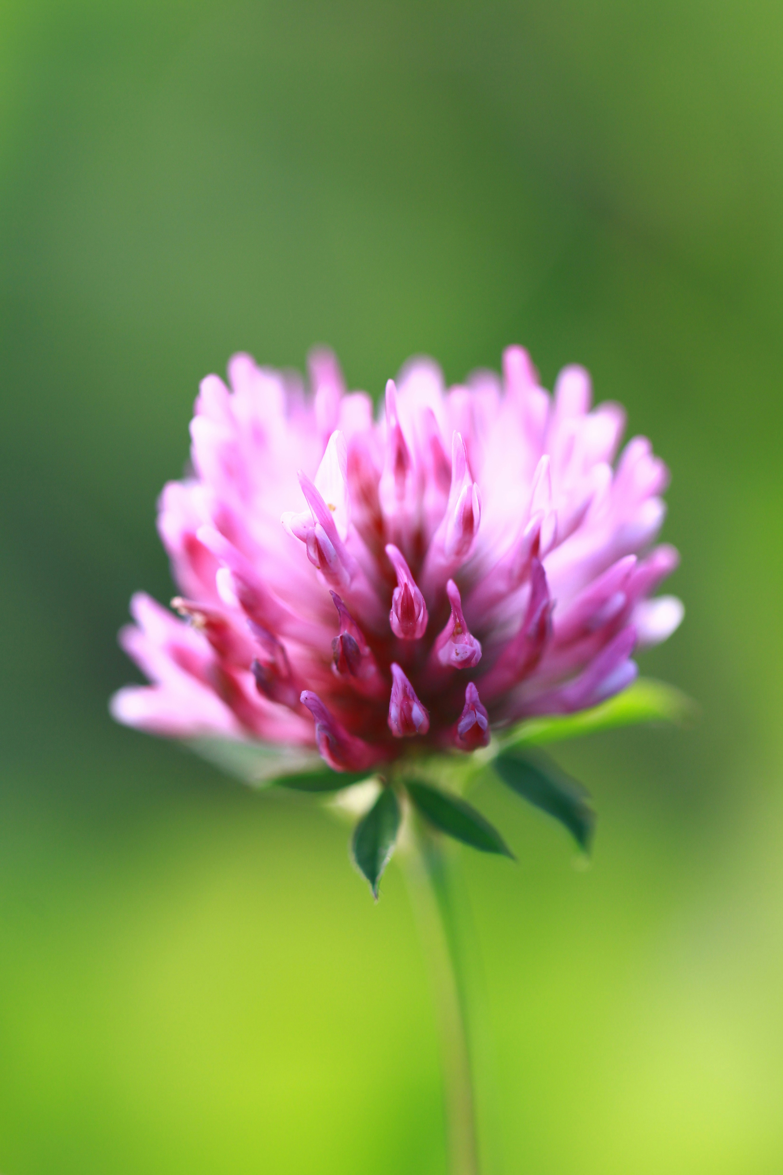 Photo by alightproduction_by_sabrinawendl