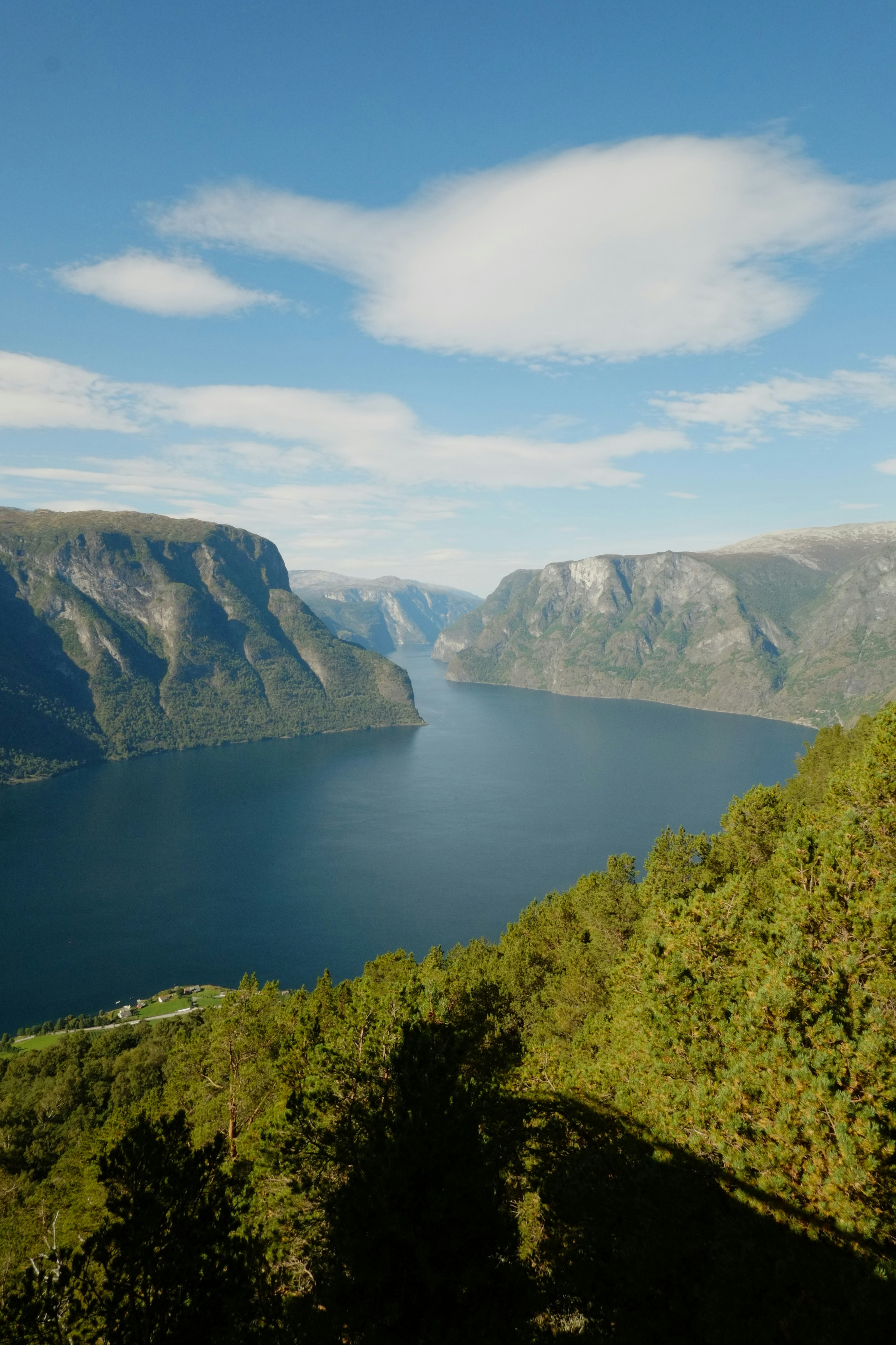 Photo by bernhardbar