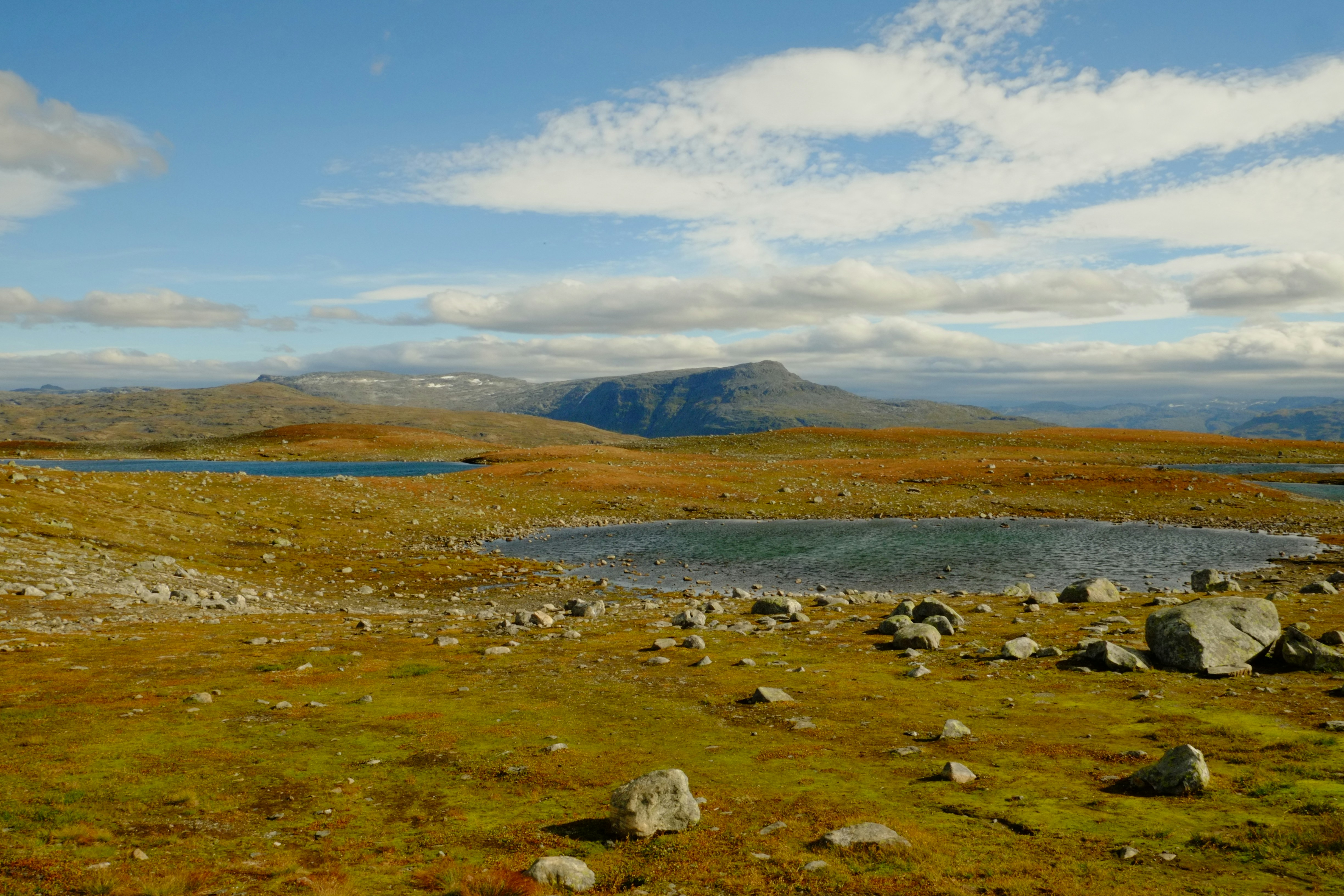 Photo by bernhardbar