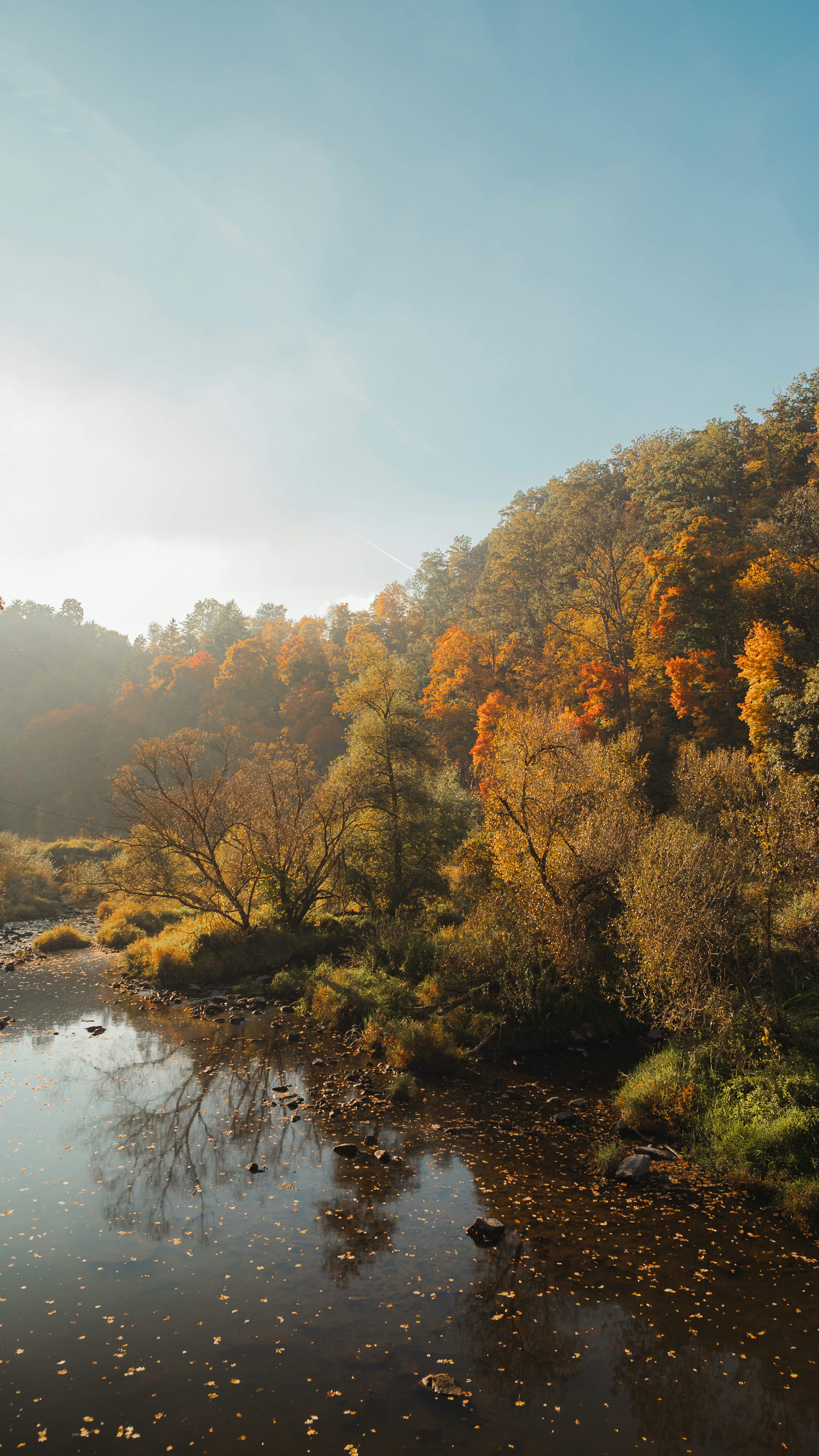 Autumn forest reflected in a calm river at sunrise