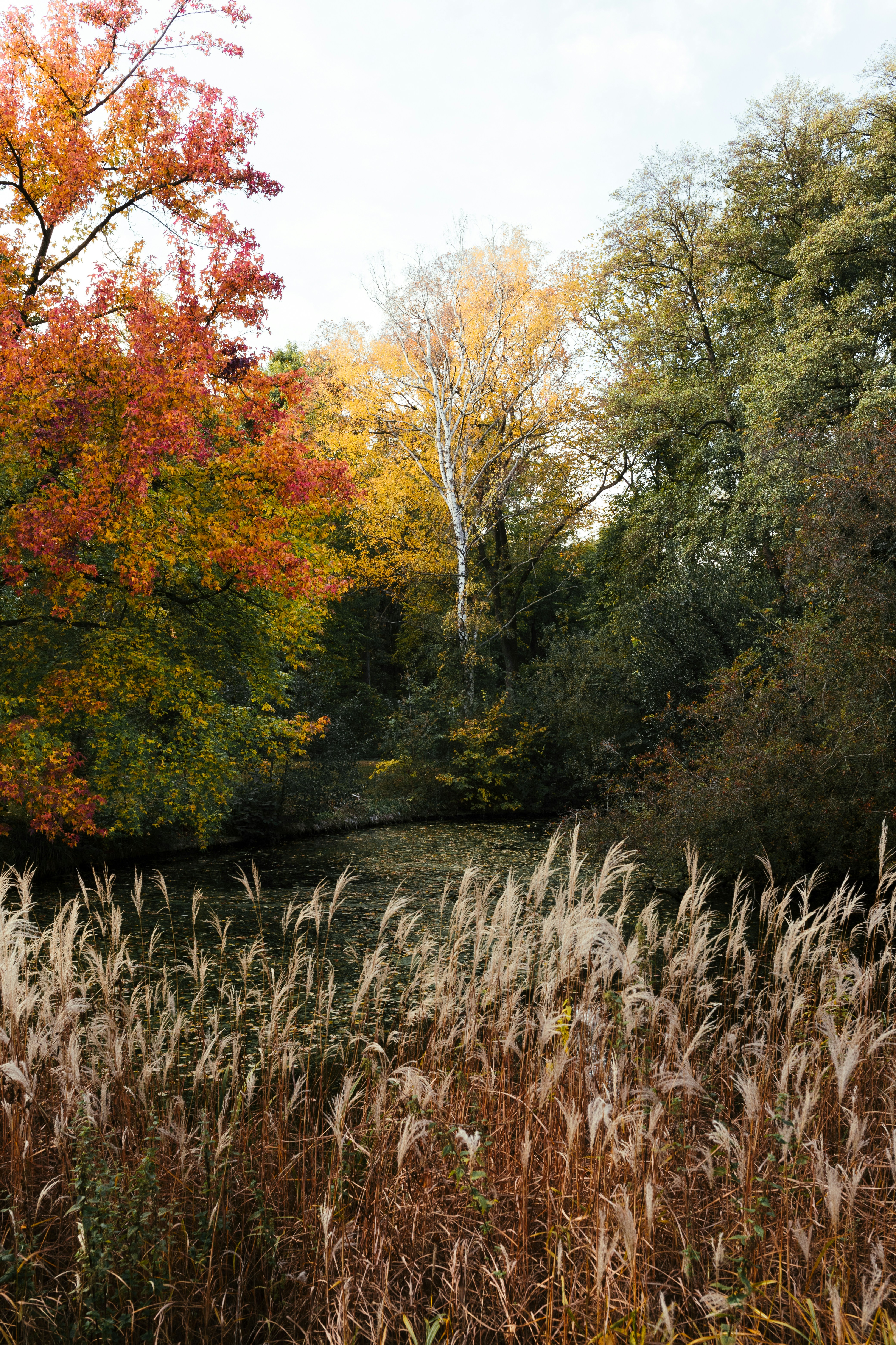 Photo by nikita_pishchugin