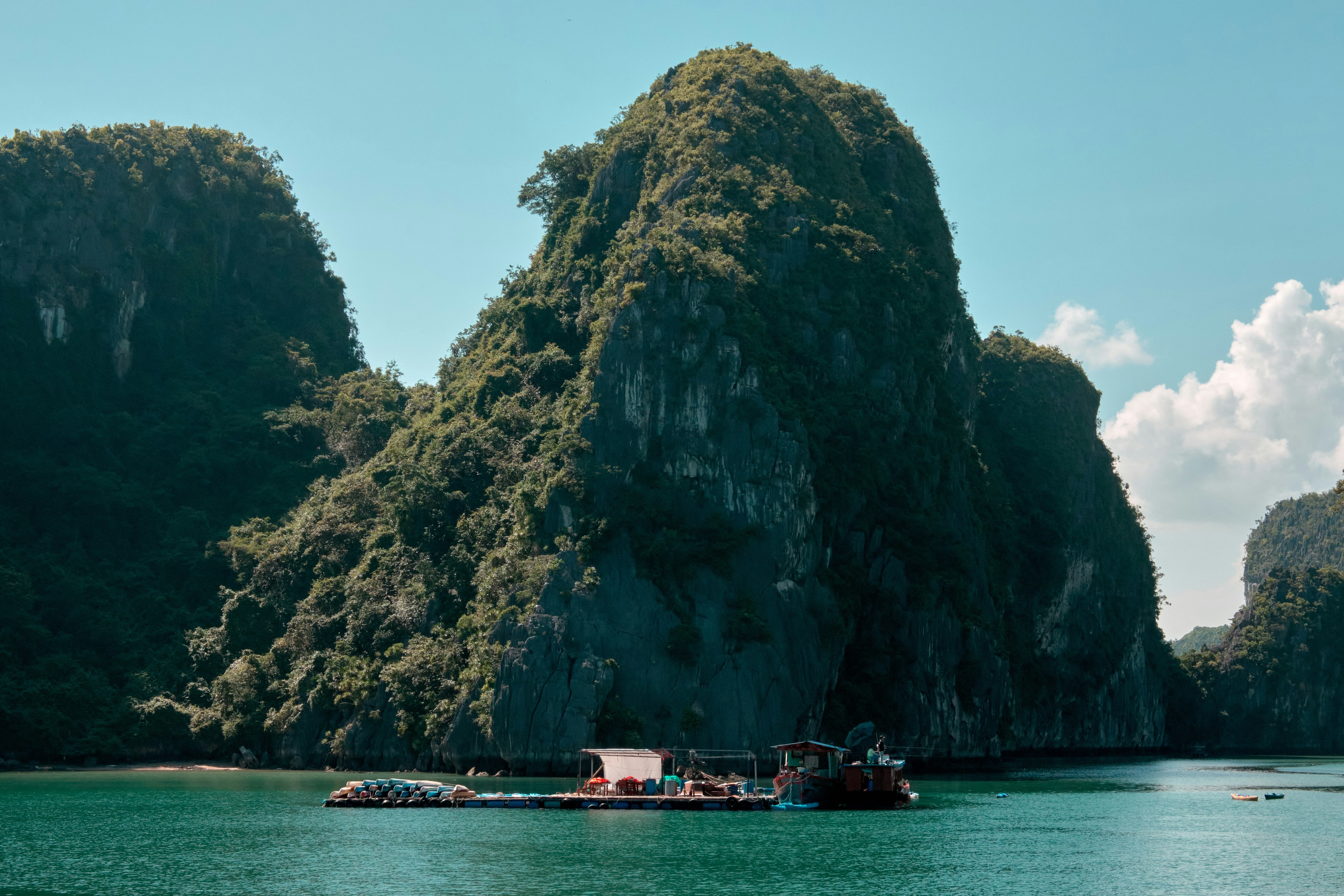 Photo by earlgreyday