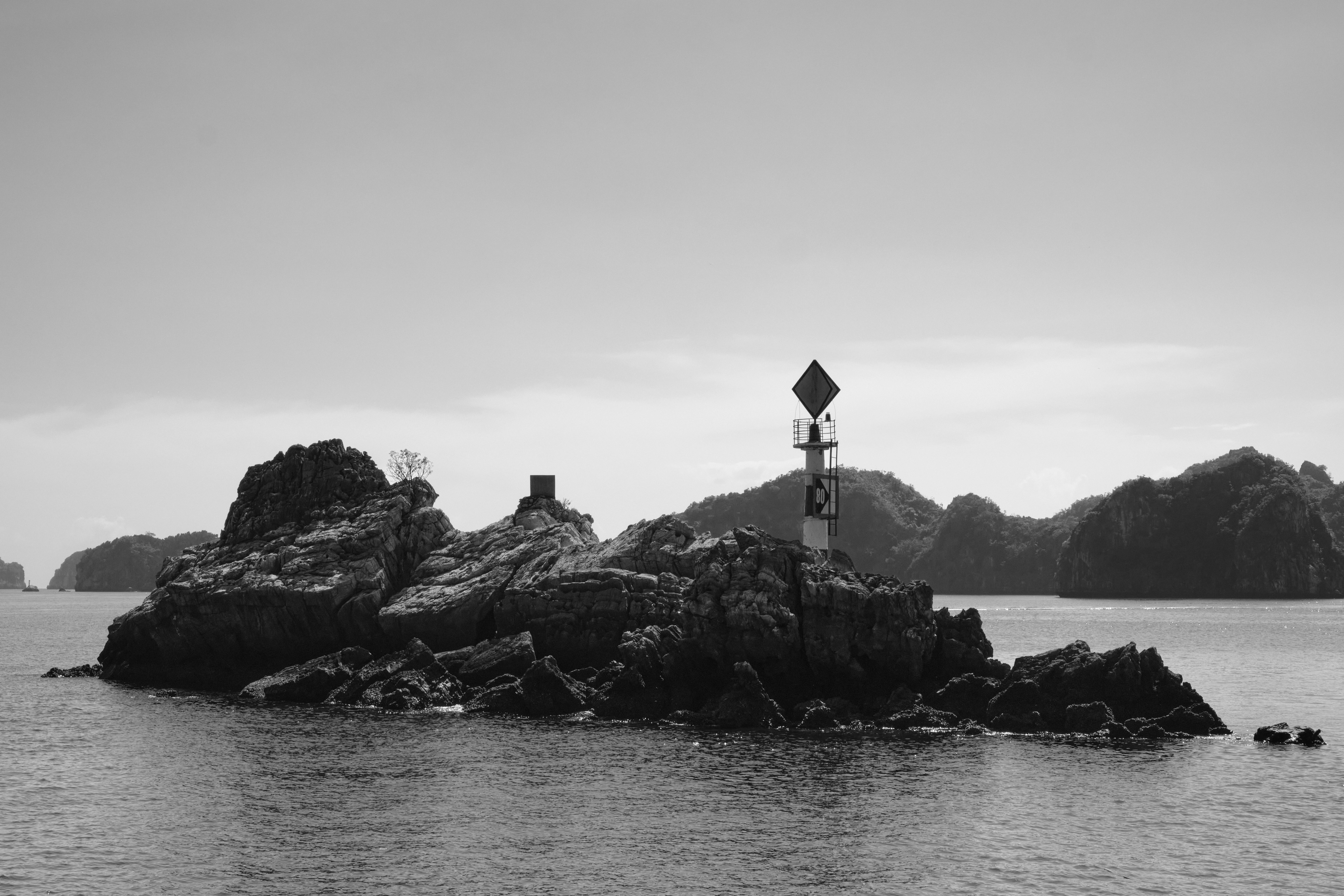 Photo by earlgreyday