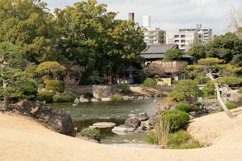 The Philosophy of Japanese Gardens: Wabi, Sabi and Ma Explained