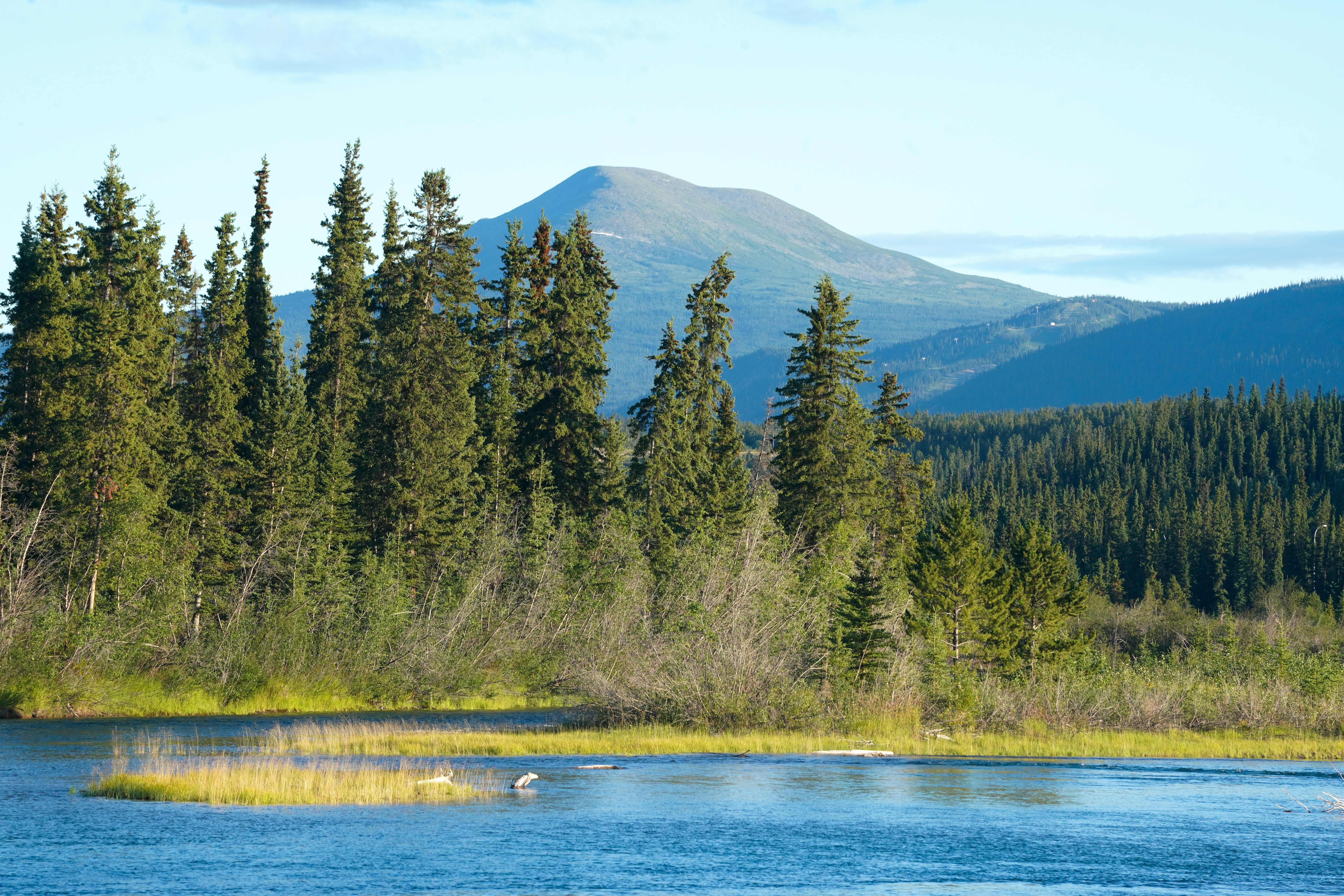 Ein ruhiger See mit immergrünen Bäumen und einem fernen Berg.