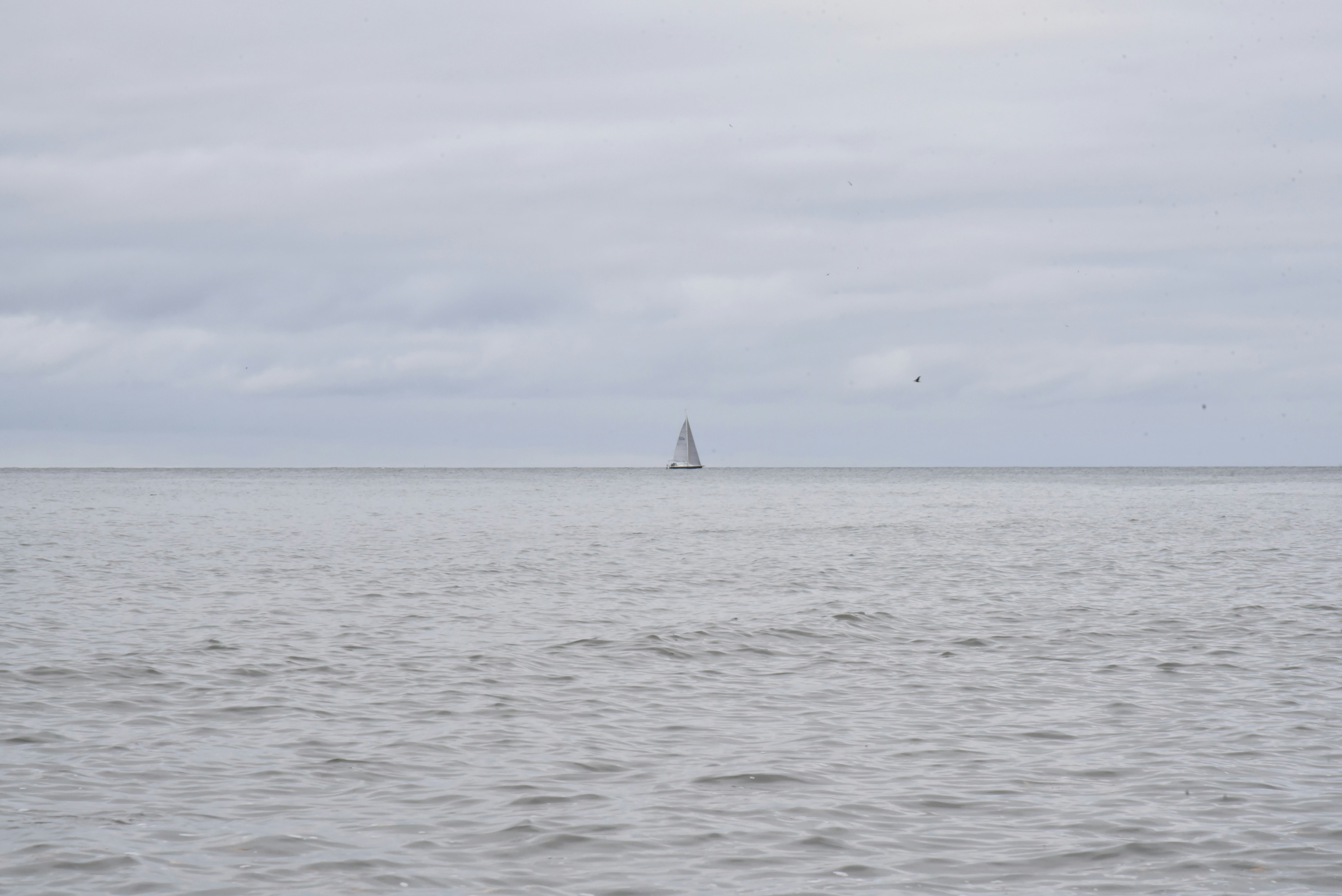 Photo by danny_chen_