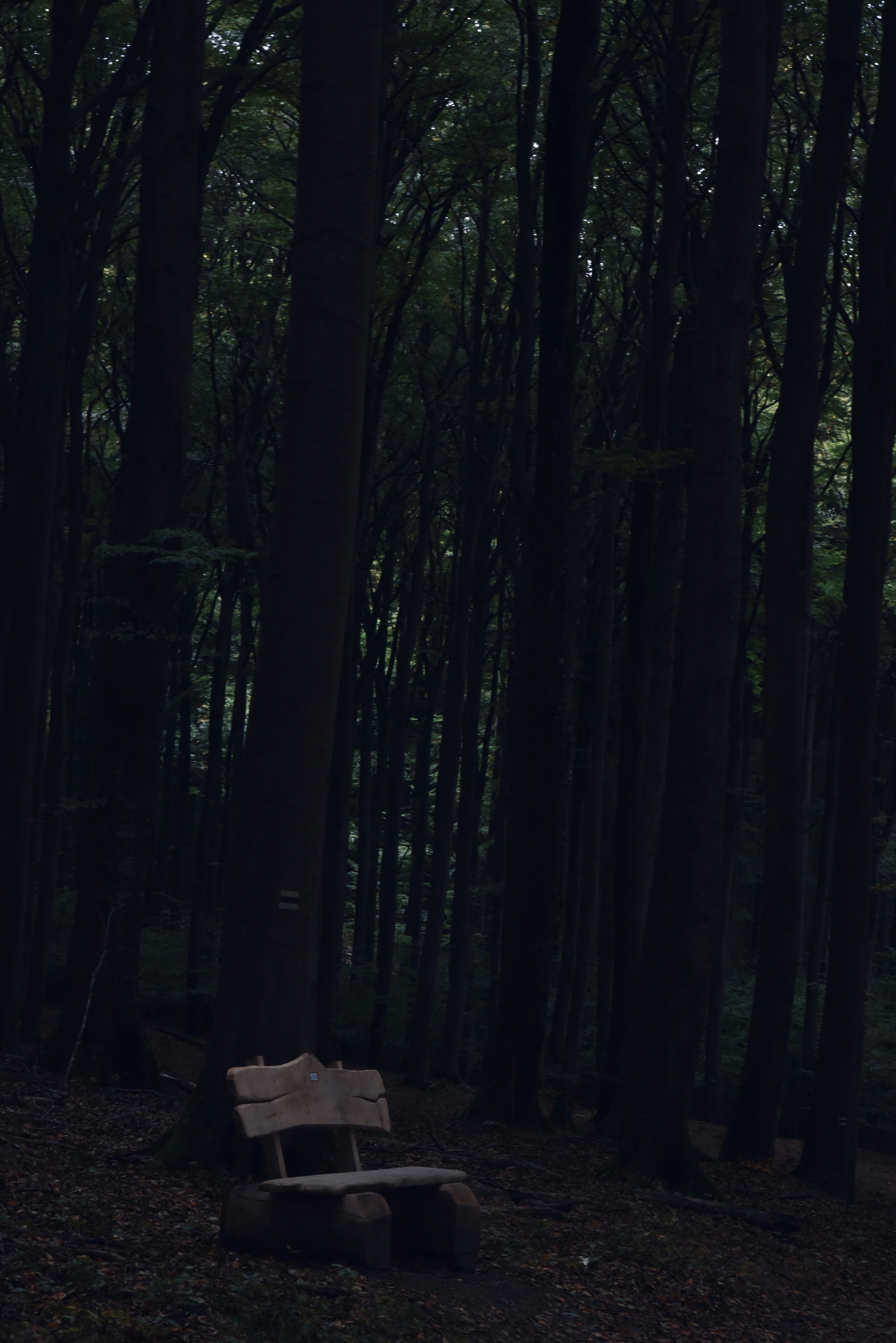 Photo by danny_chen_