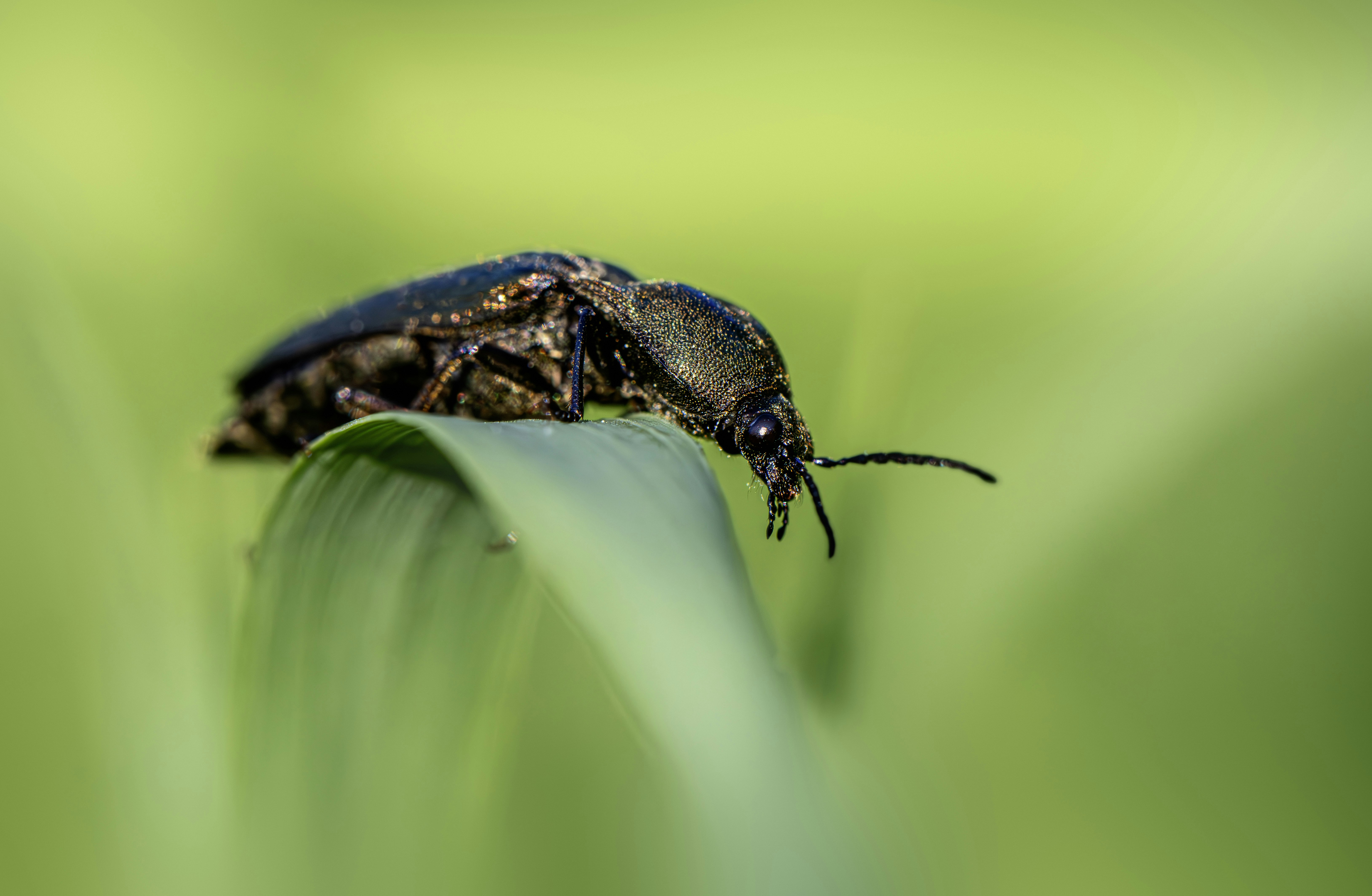 Photo by erik_karits